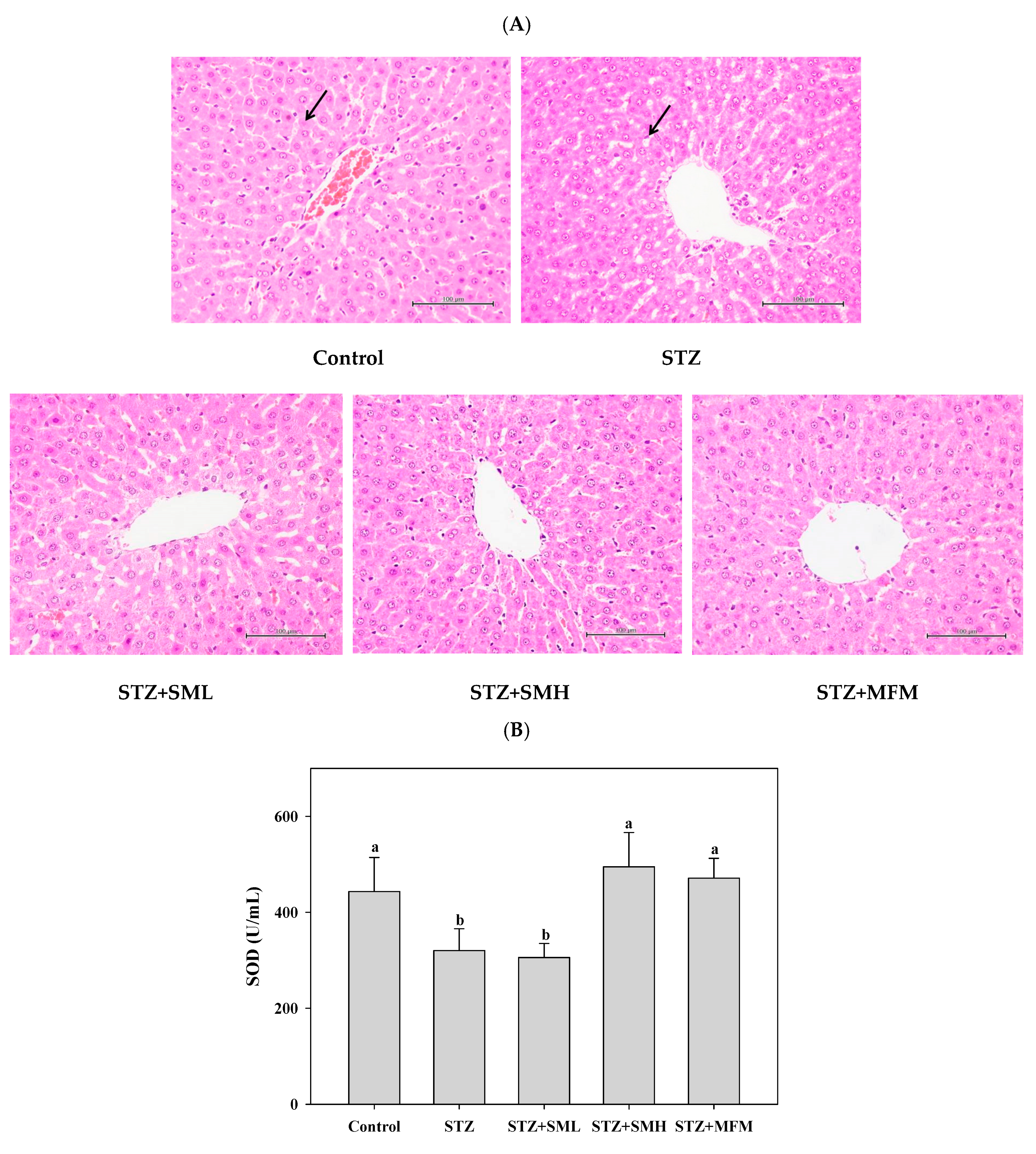 Molecules 28 07255 g006a