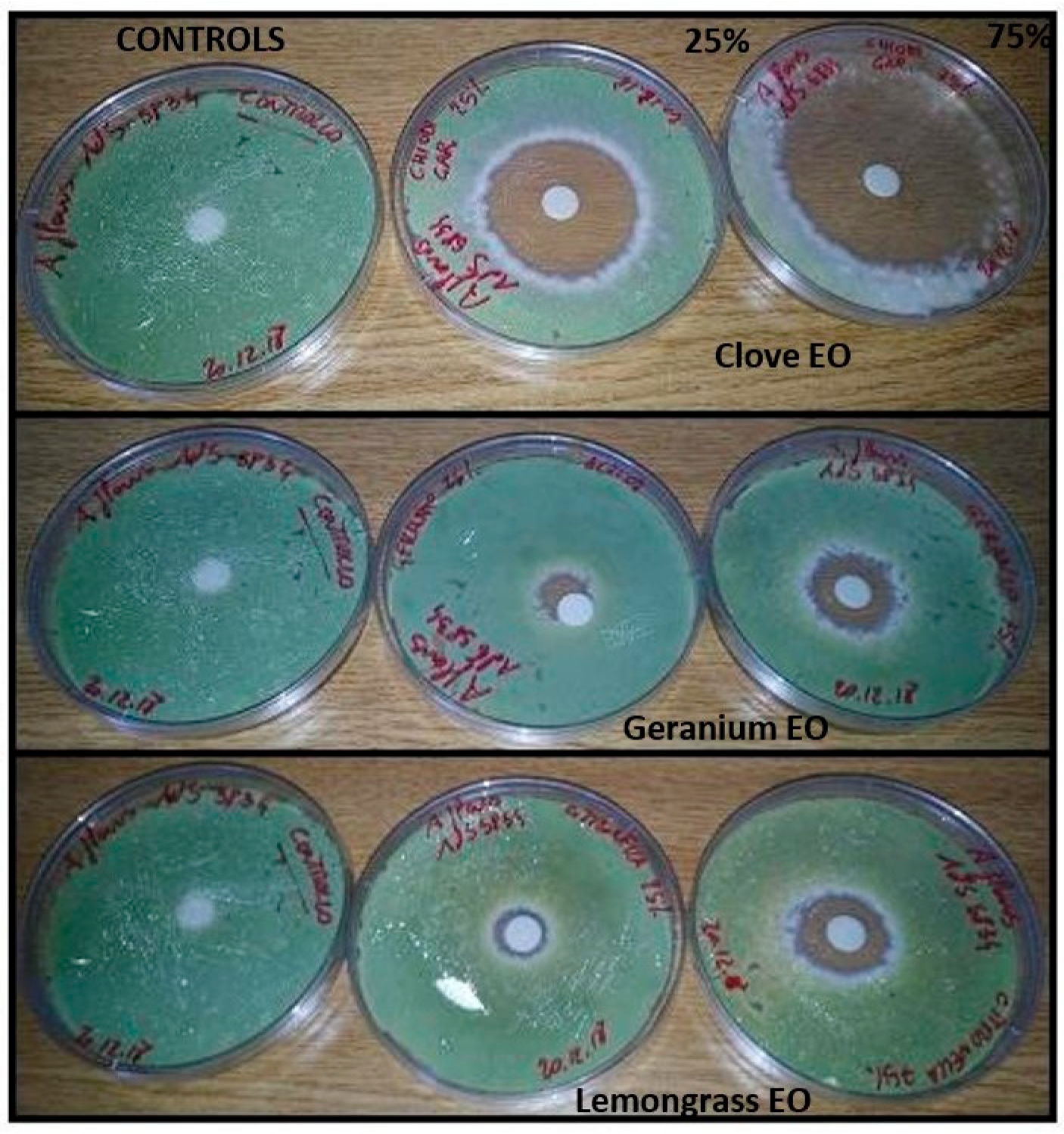 Molecules 28 07259 g001