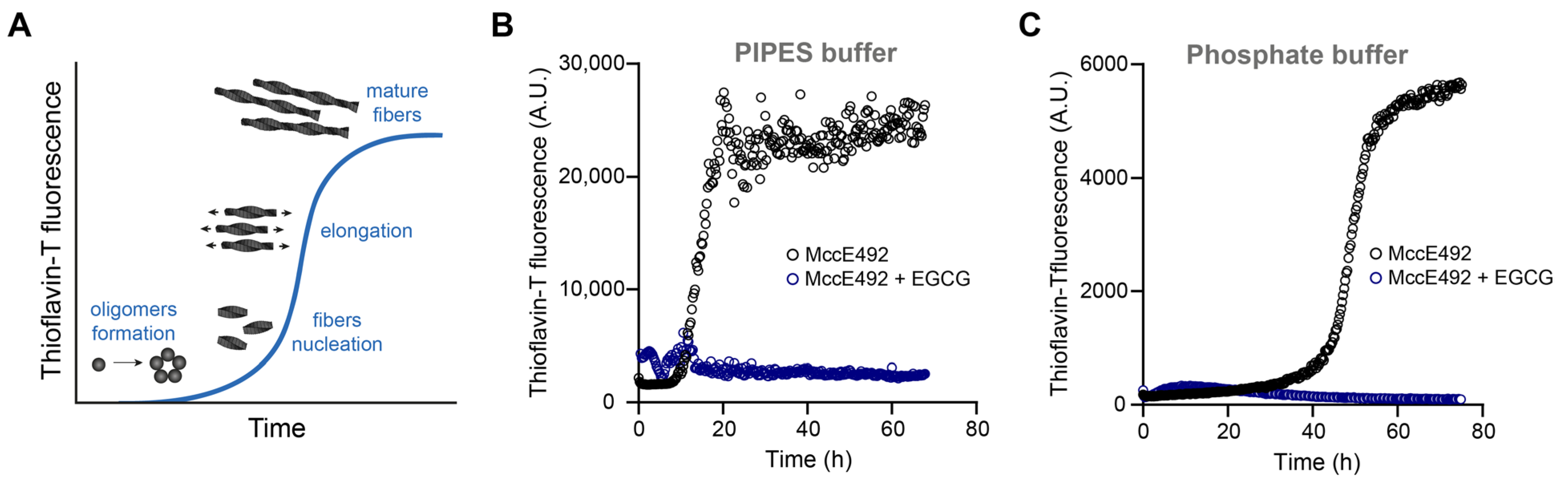 Molecules 28 07262 g001