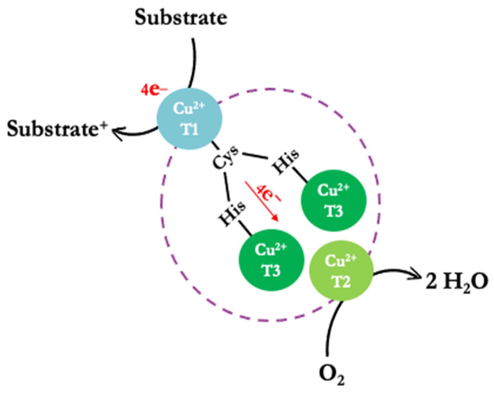 Molecules 28 07263 g001