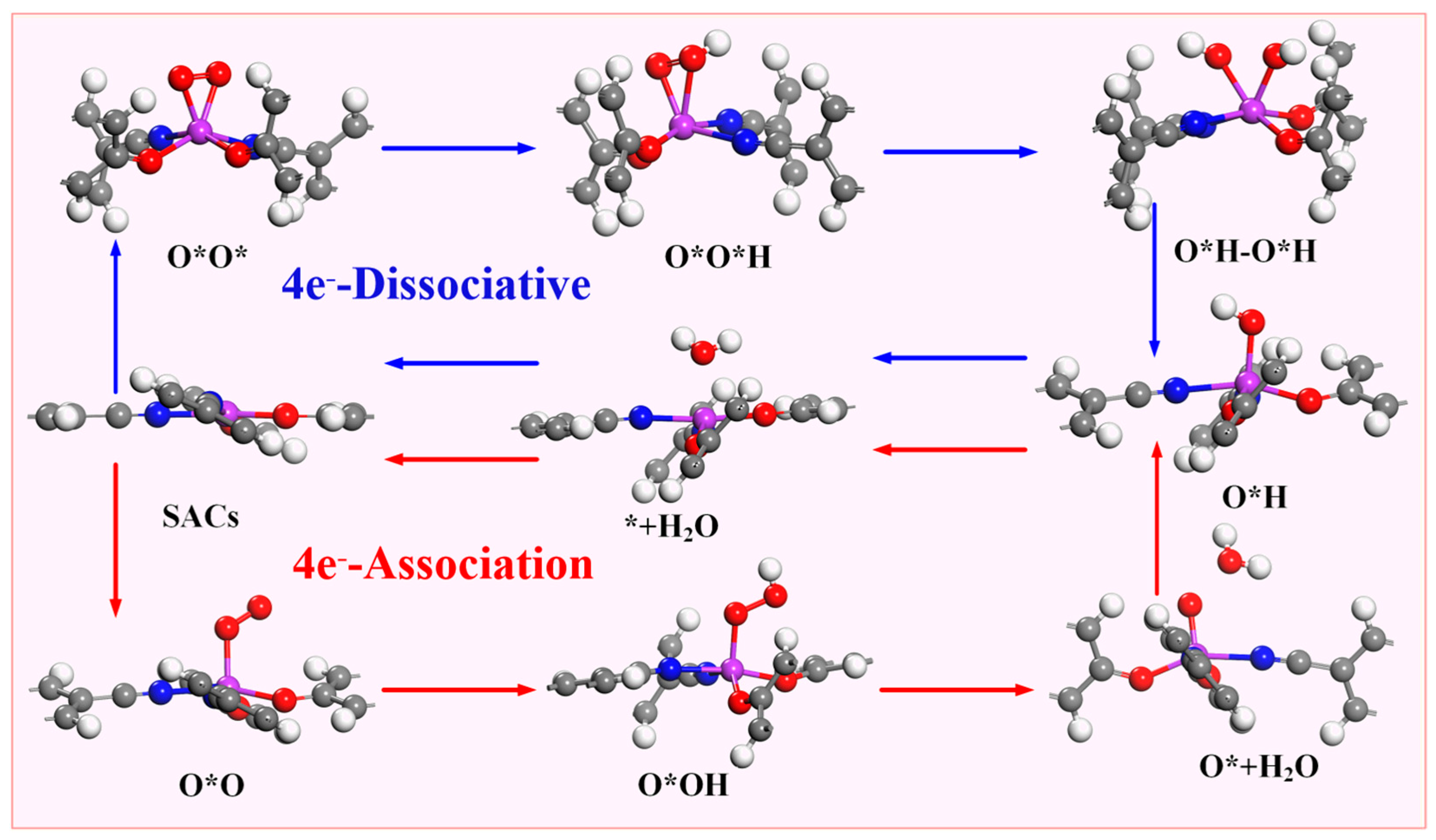 Molecules 28 07264 g006