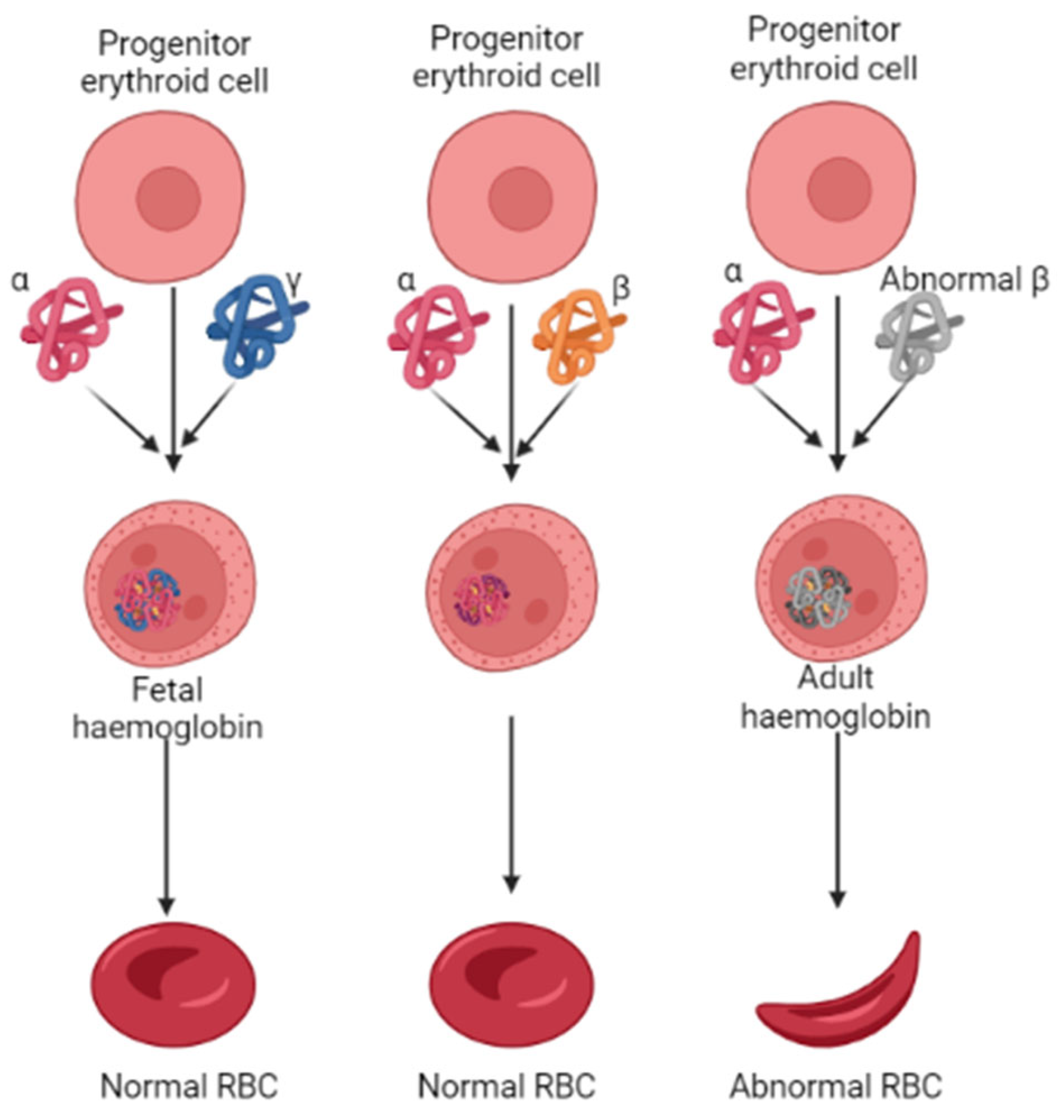 Molecules 28 07266 g001