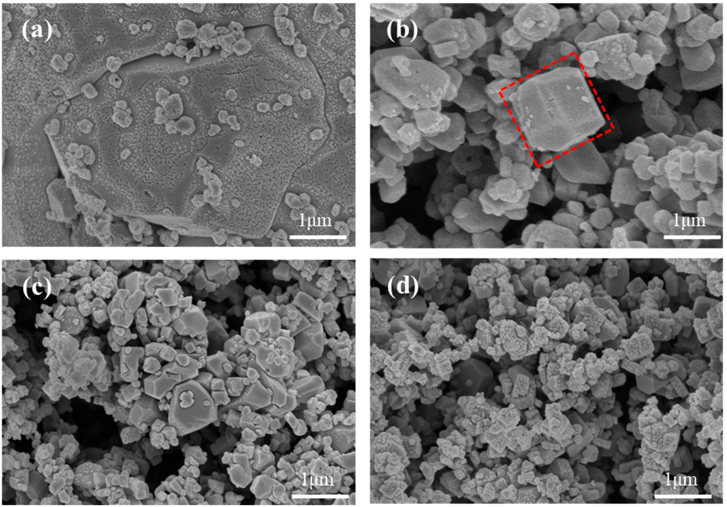Molecules 28 07267 g008 Molecules 28 07267 g008