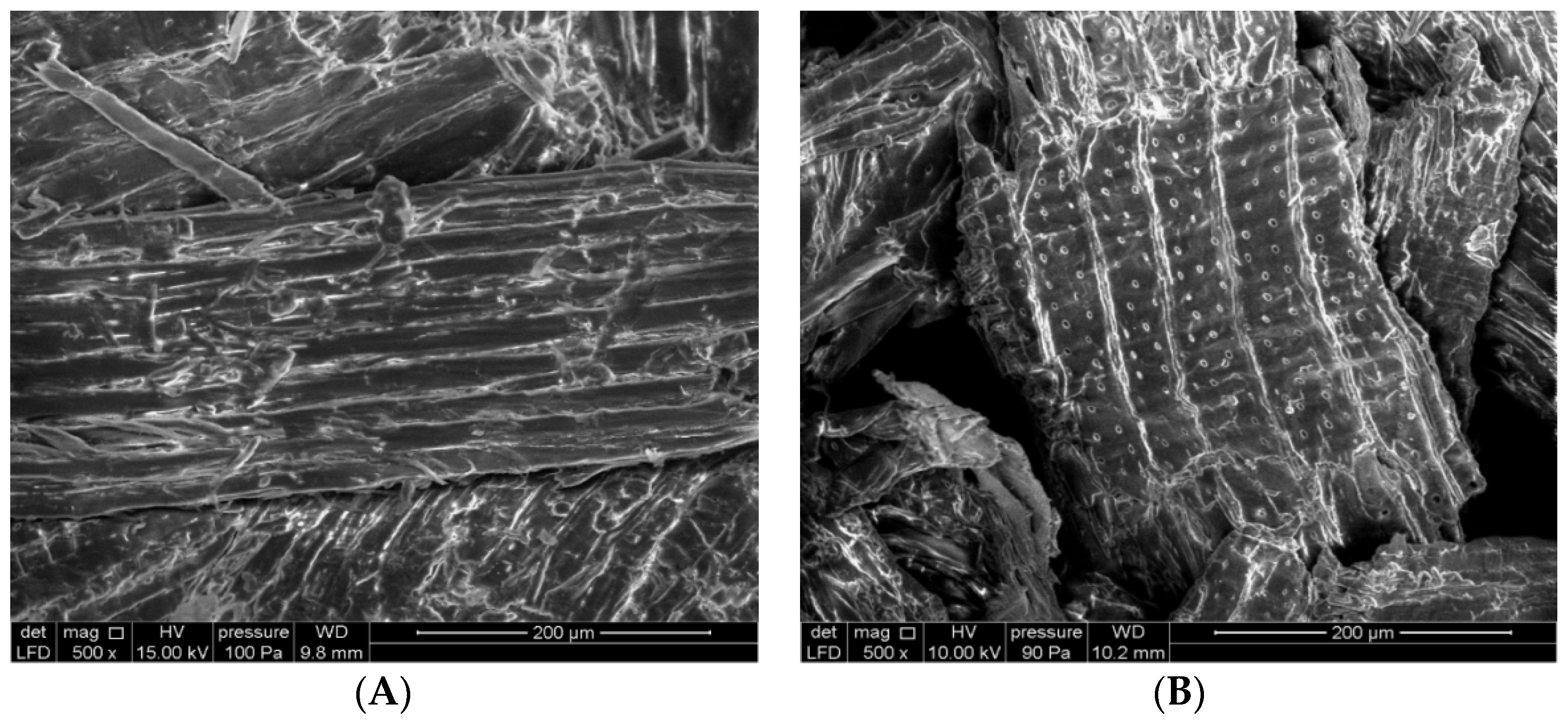 Molecules 28 07271 g001