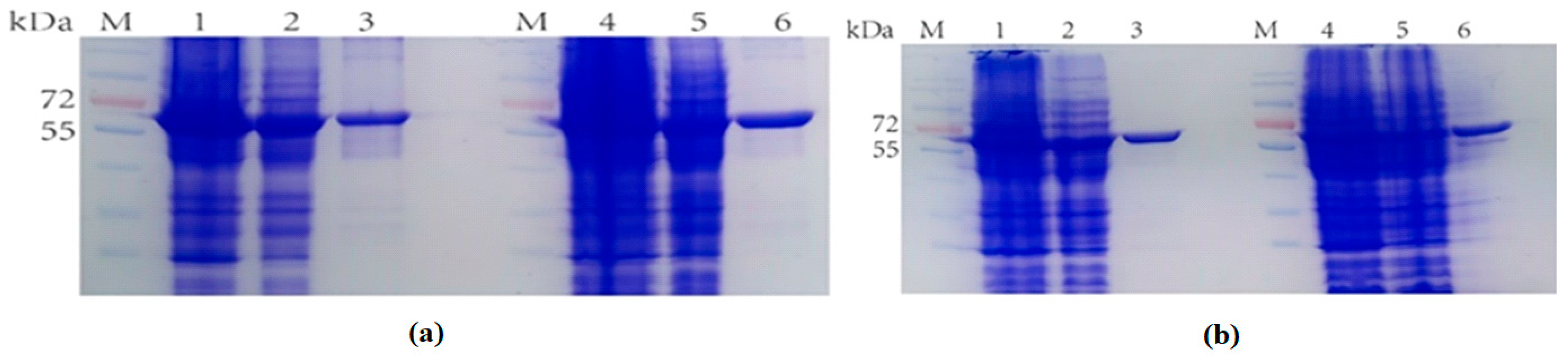 Molecules 28 07272 g006