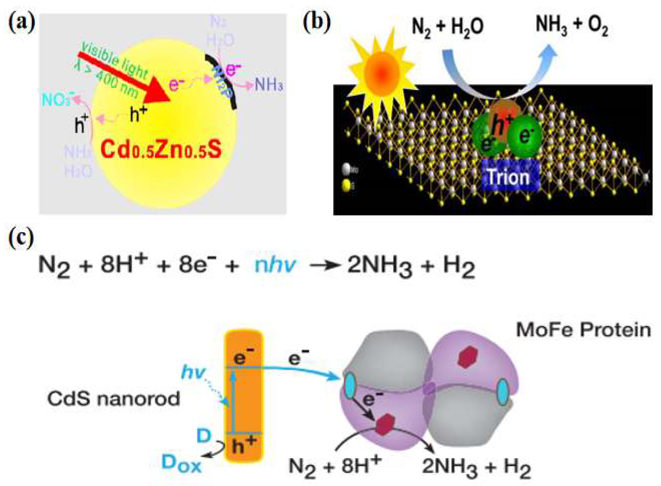 Molecules 28 07277 g003