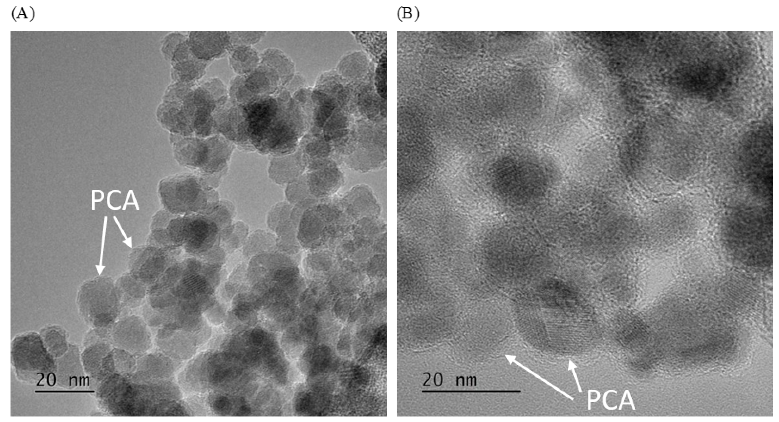 Molecules 28 07281 g001