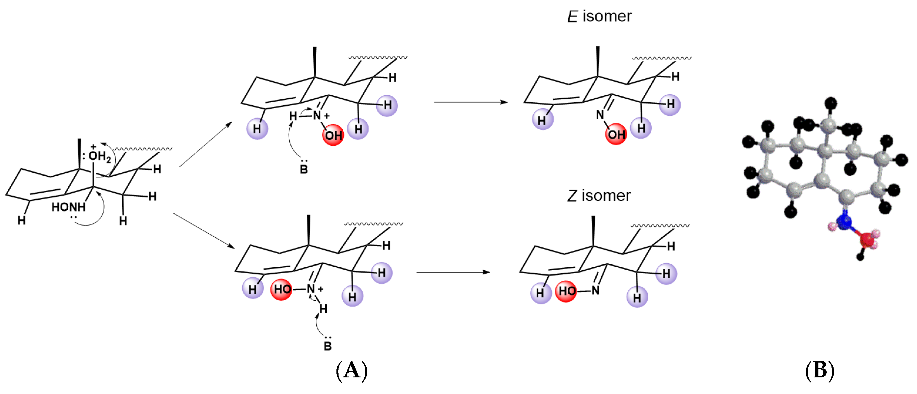 Molecules 28 07283 g001