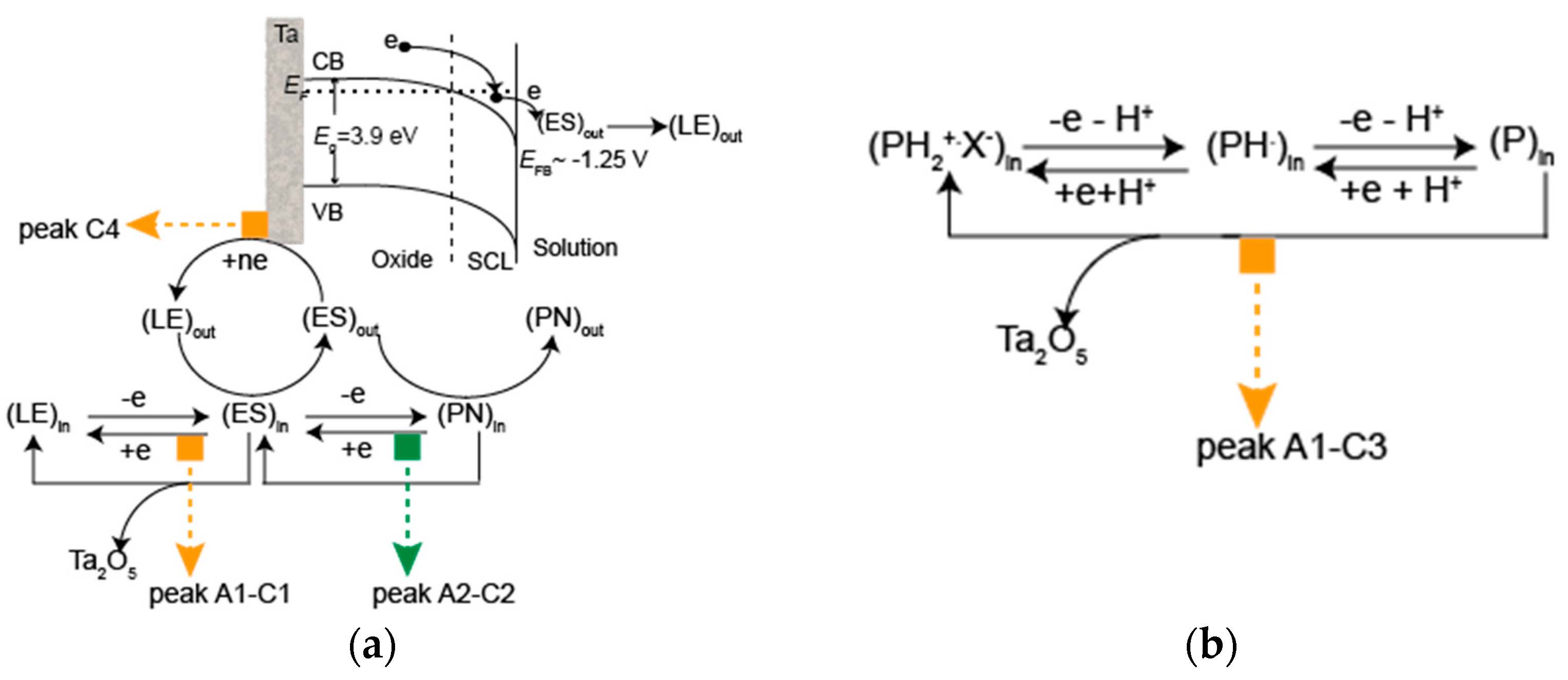 Molecules 28 07286 g012