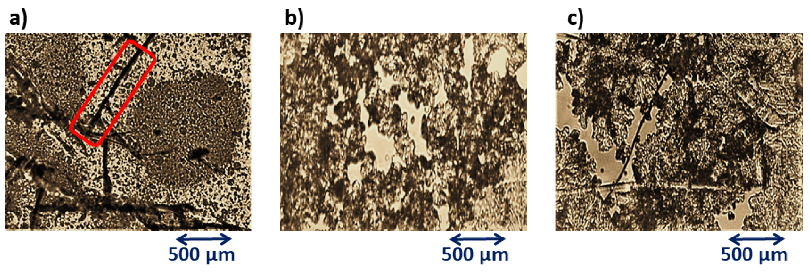 Molecules 28 07290 g005