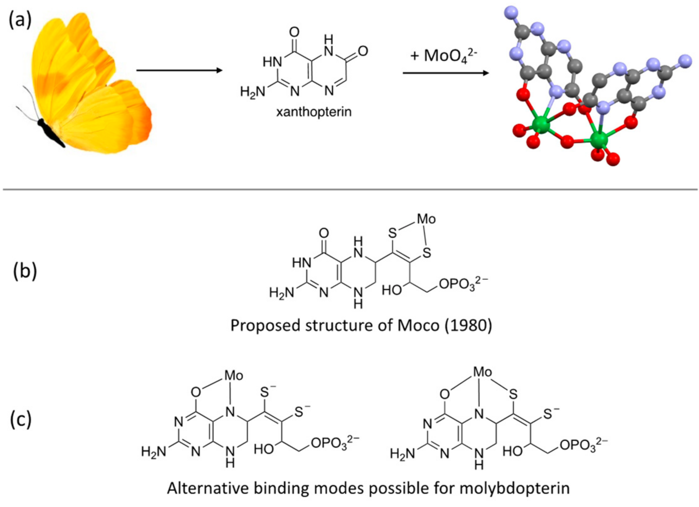 Molecules 28 07296 g001