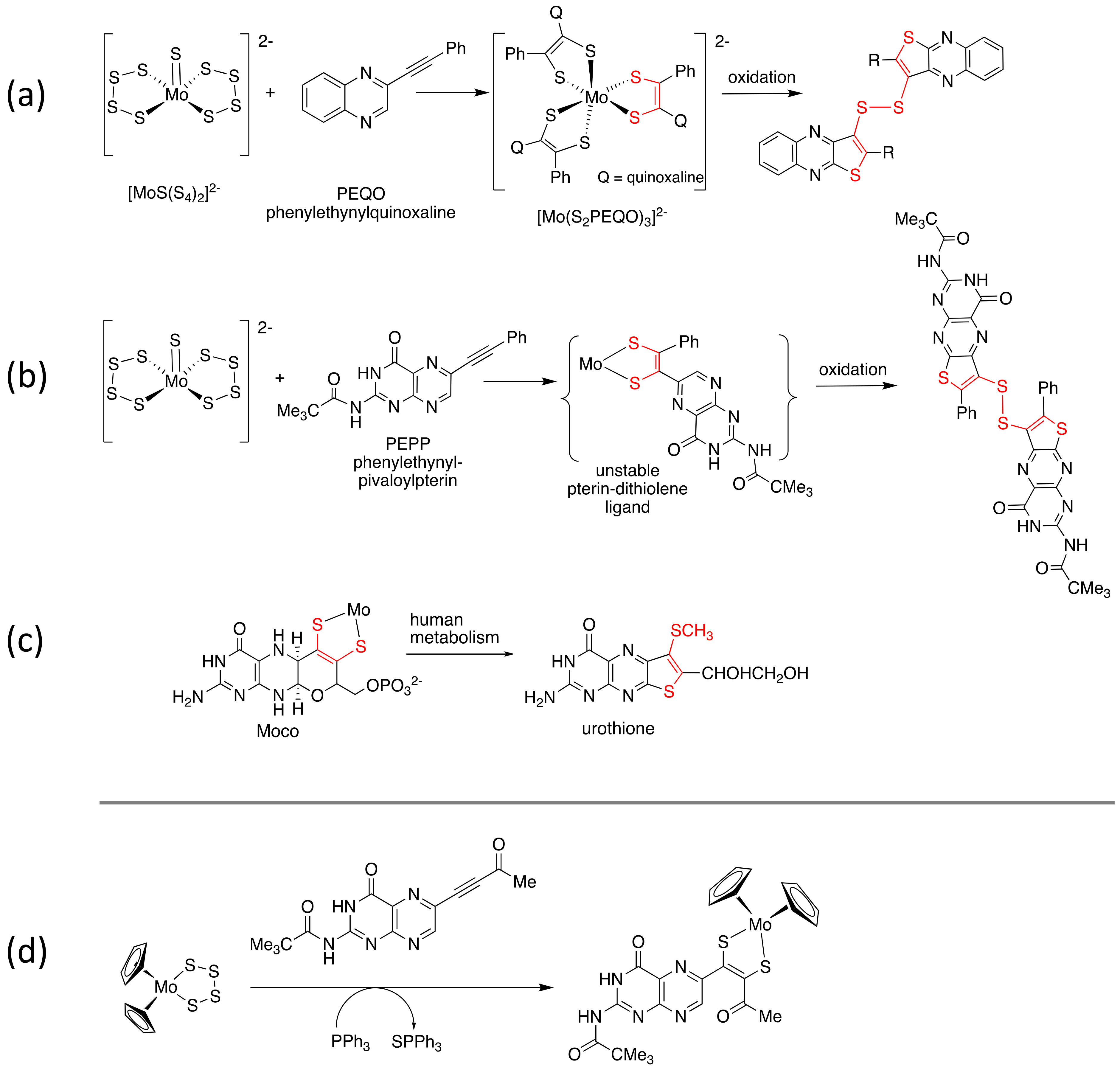 Molecules 28 07296 g002