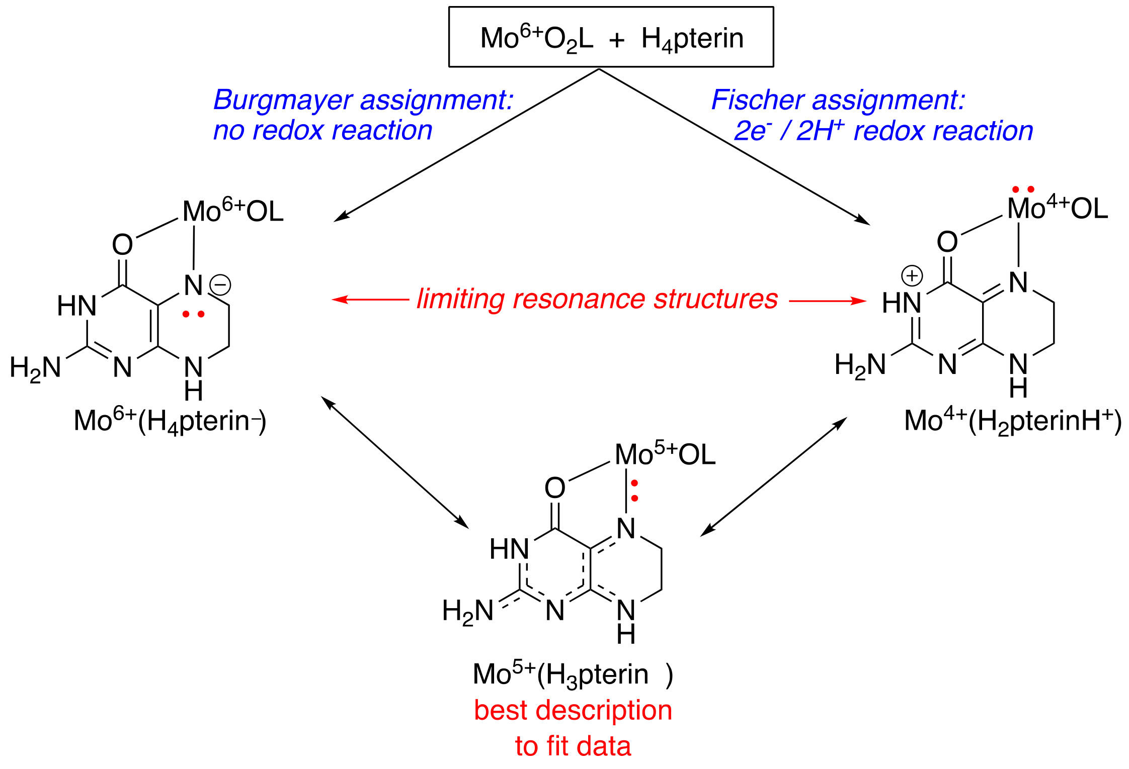 Molecules 28 07296 g004