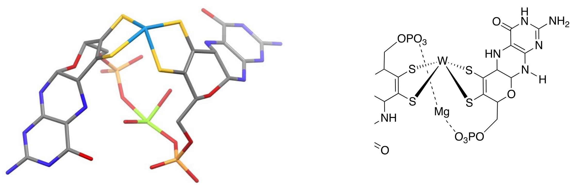 Molecules 28 07296 g005