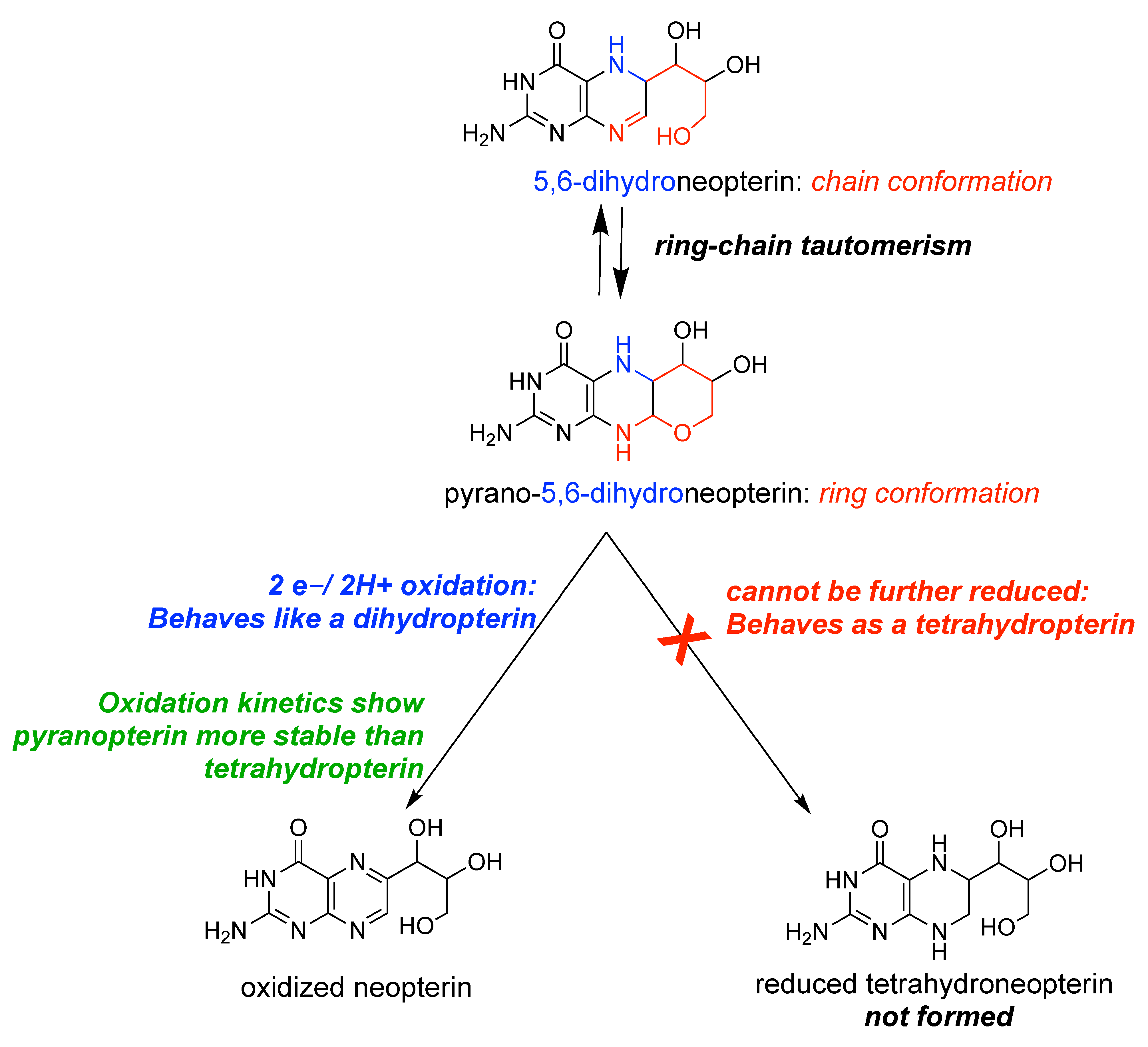Molecules 28 07296 g006