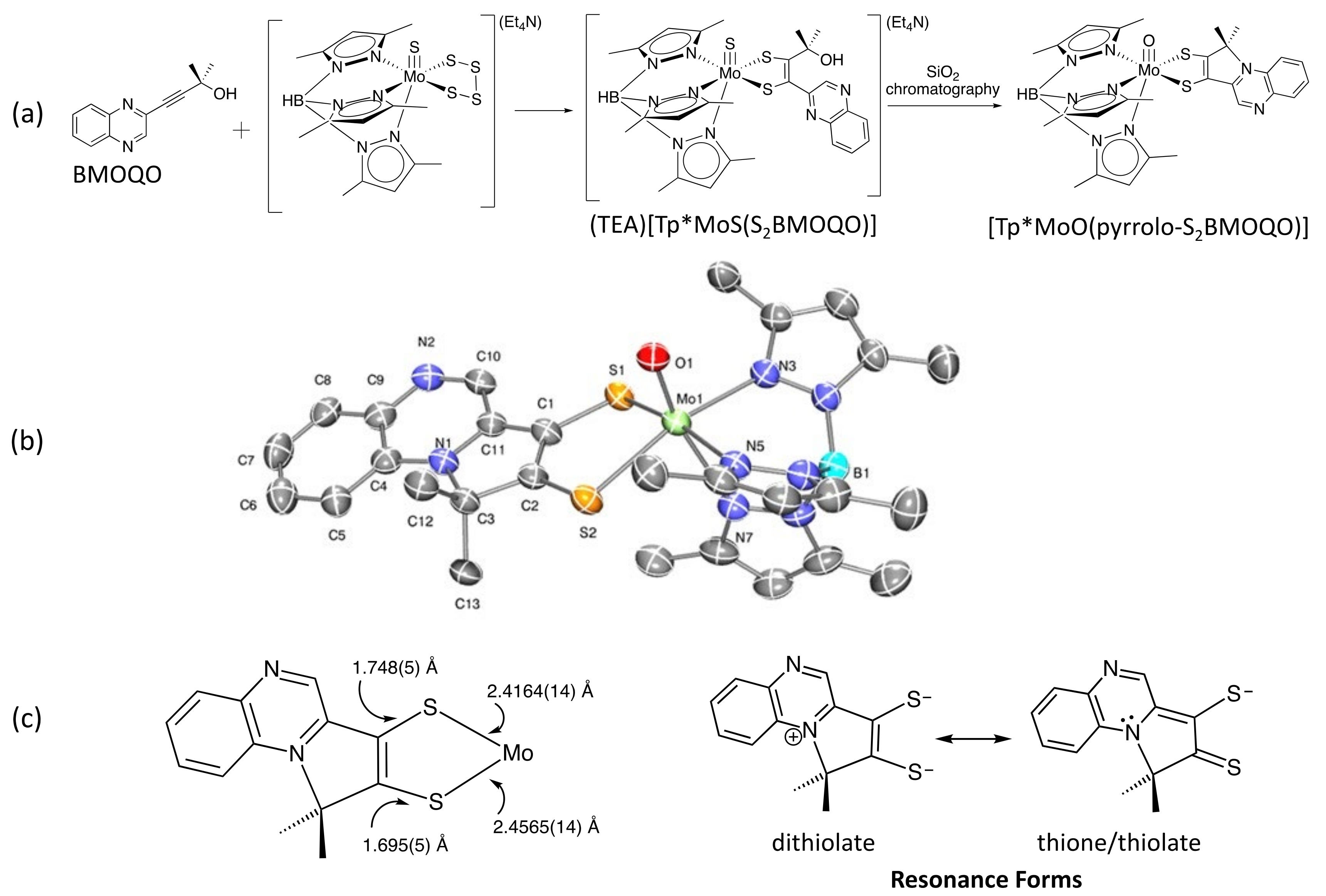 Molecules 28 07296 g008
