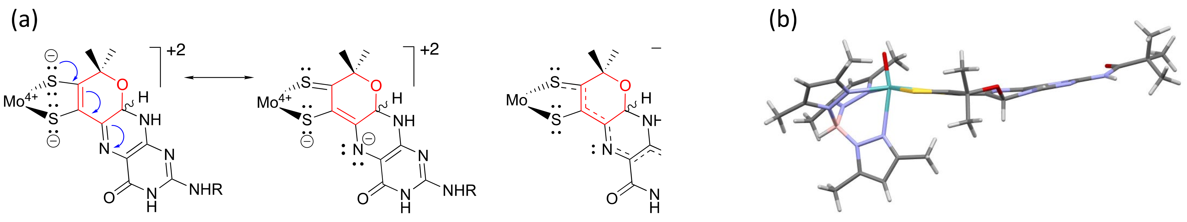Molecules 28 07296 g011