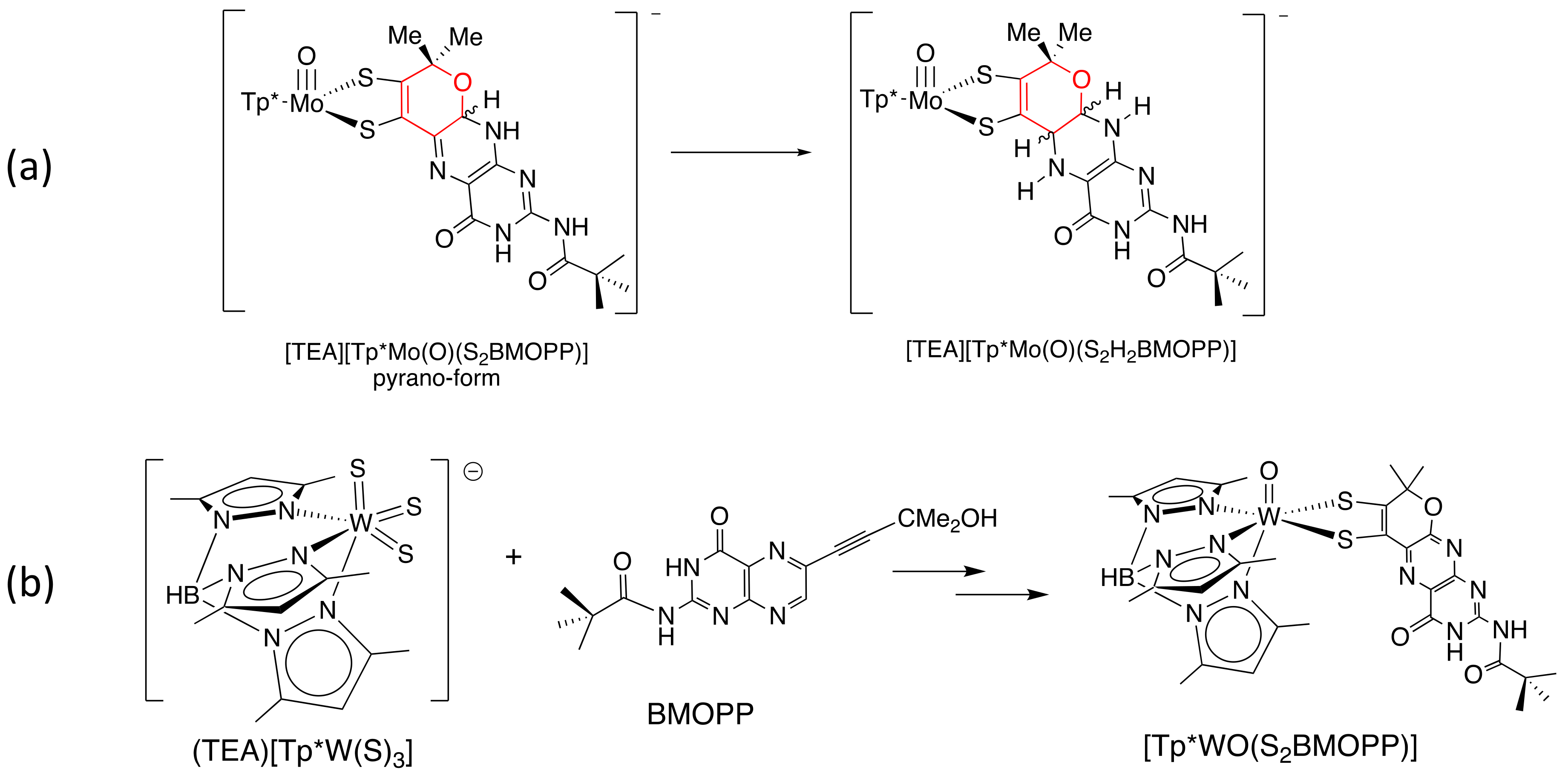 Molecules 28 07296 g013
