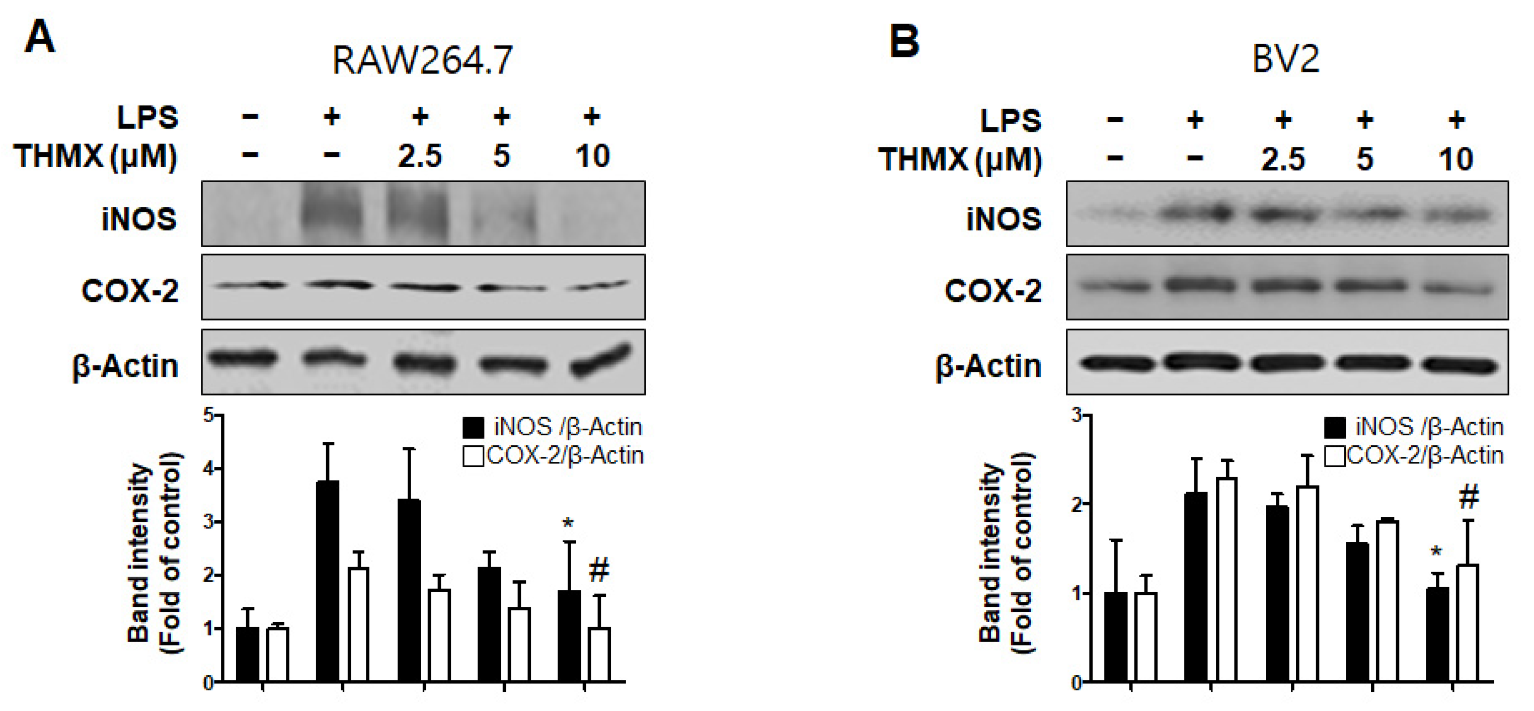 Molecules 28 07299 g003