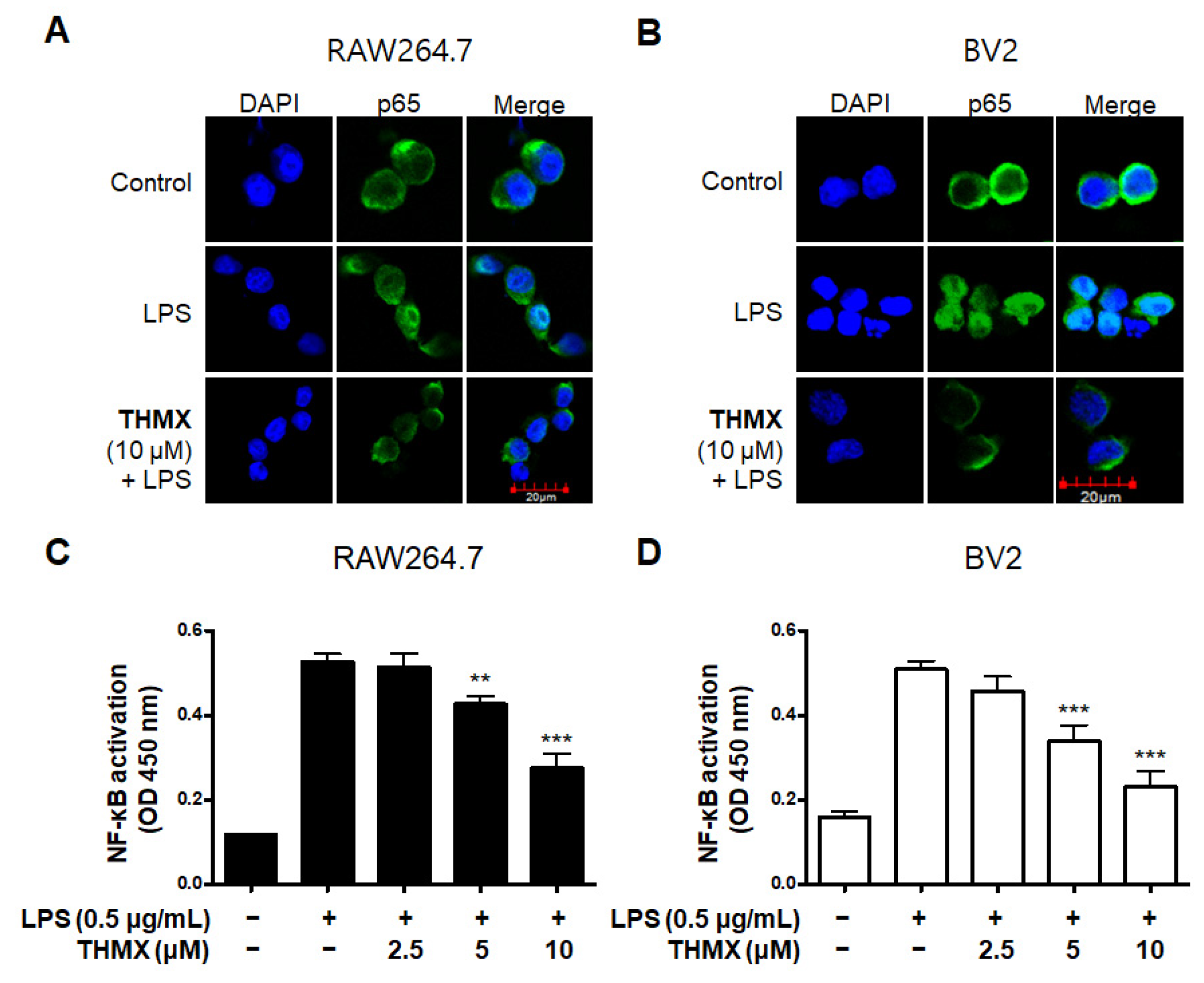 Molecules 28 07299 g004