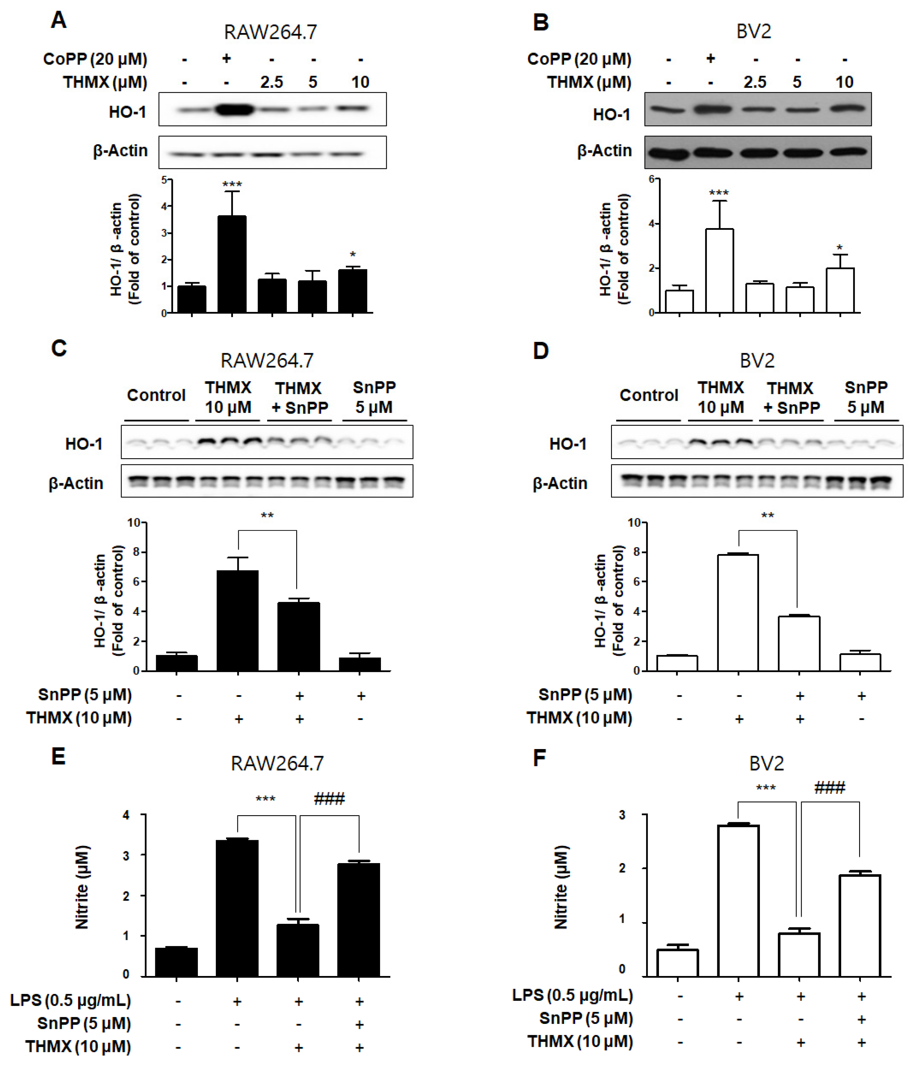 Molecules 28 07299 g006
