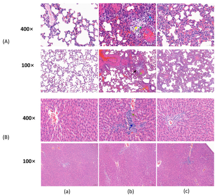Molecules 28 07301 g002