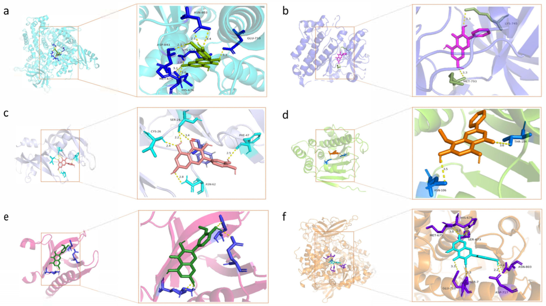Molecules 28 07301 g008