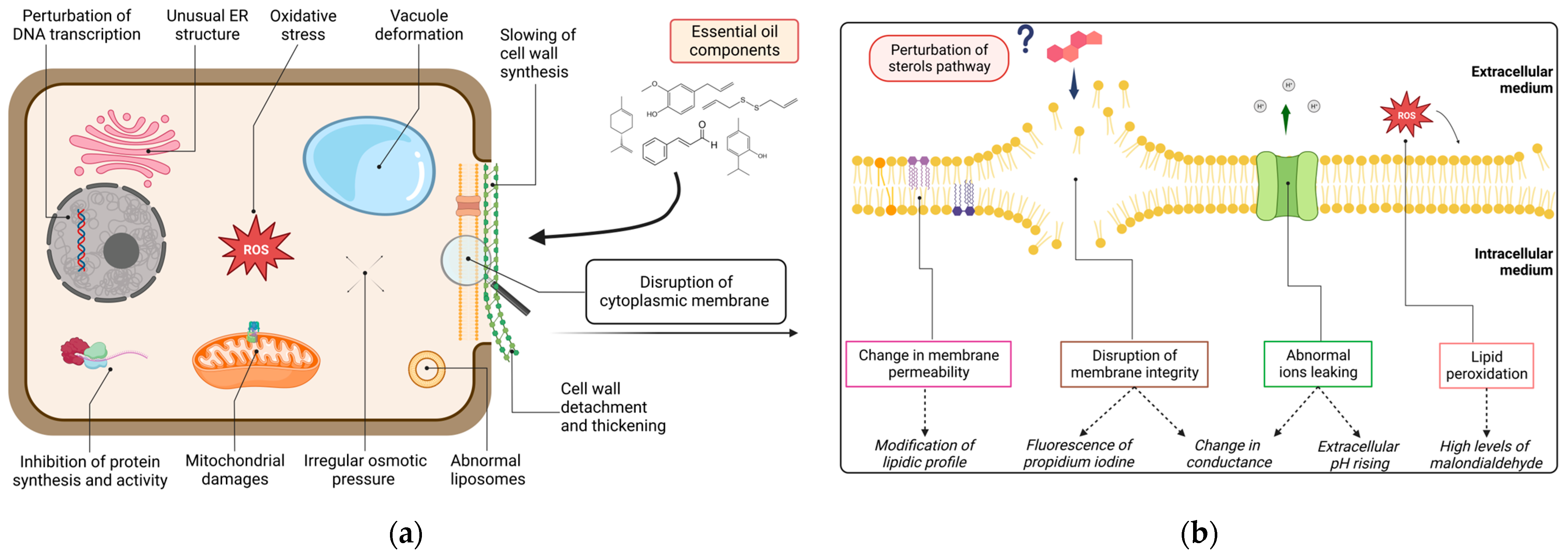 Molecules 28 07302 g003