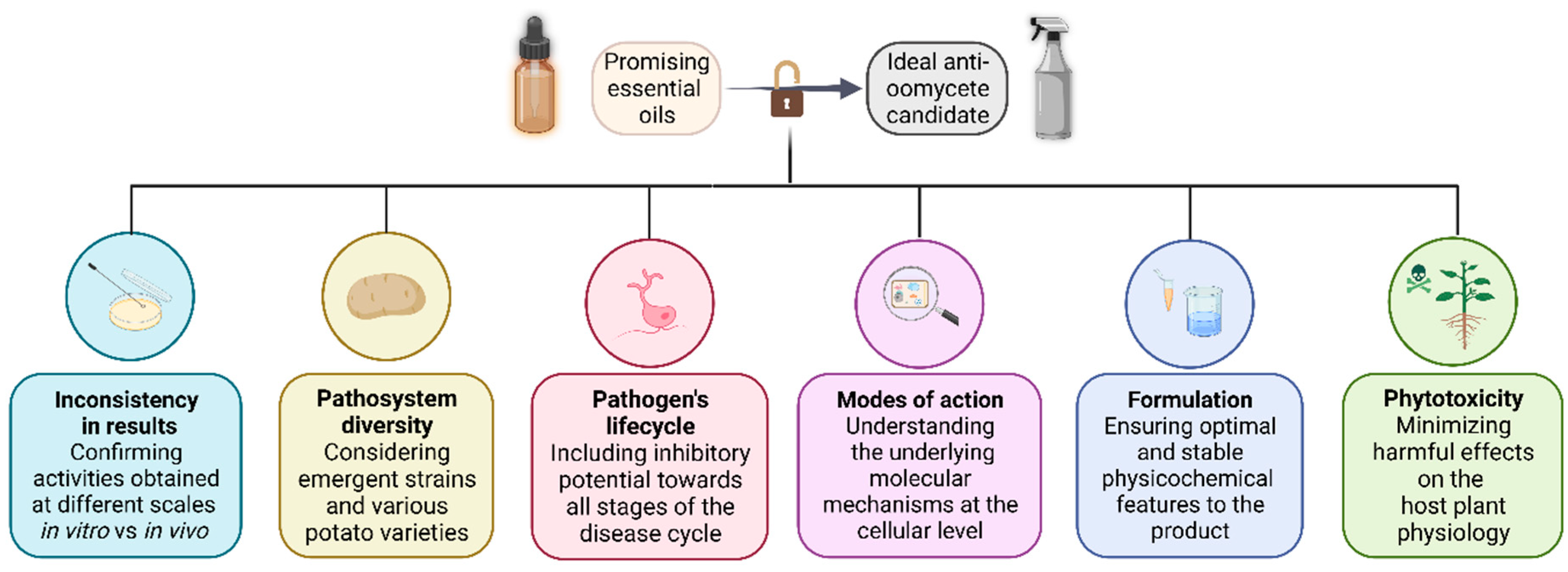 Molecules 28 07302 g004