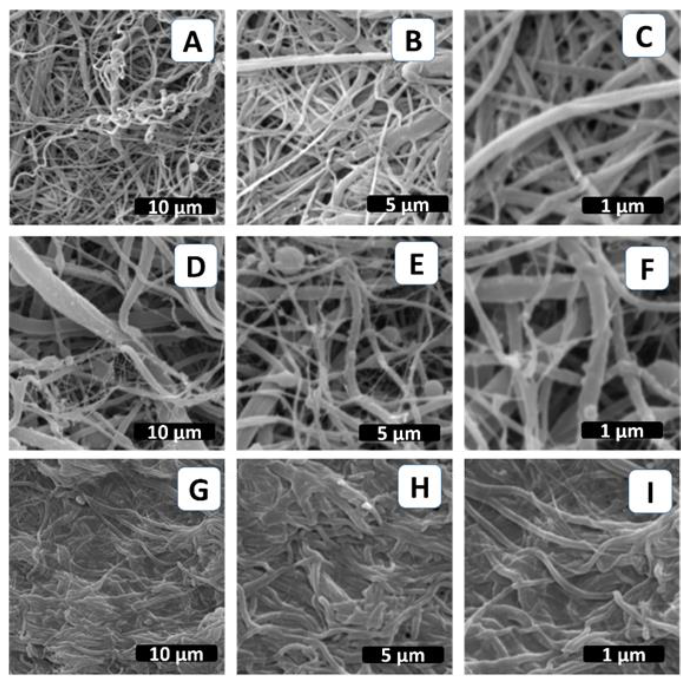Molecules 28 07305 g003