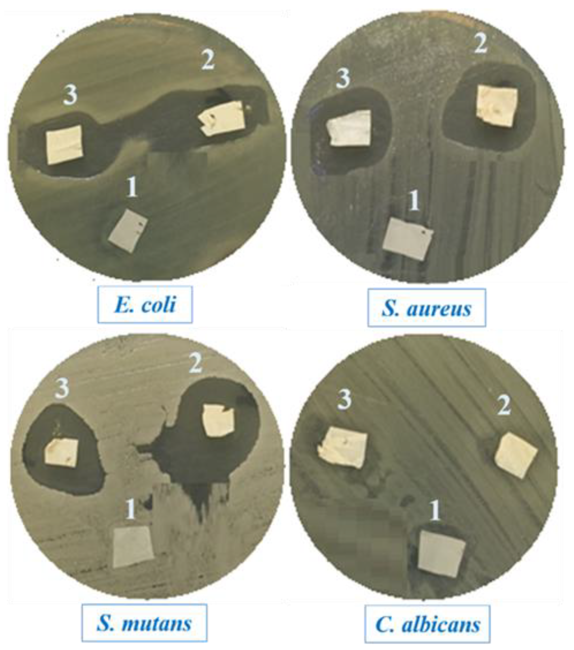 Molecules 28 07305 g008