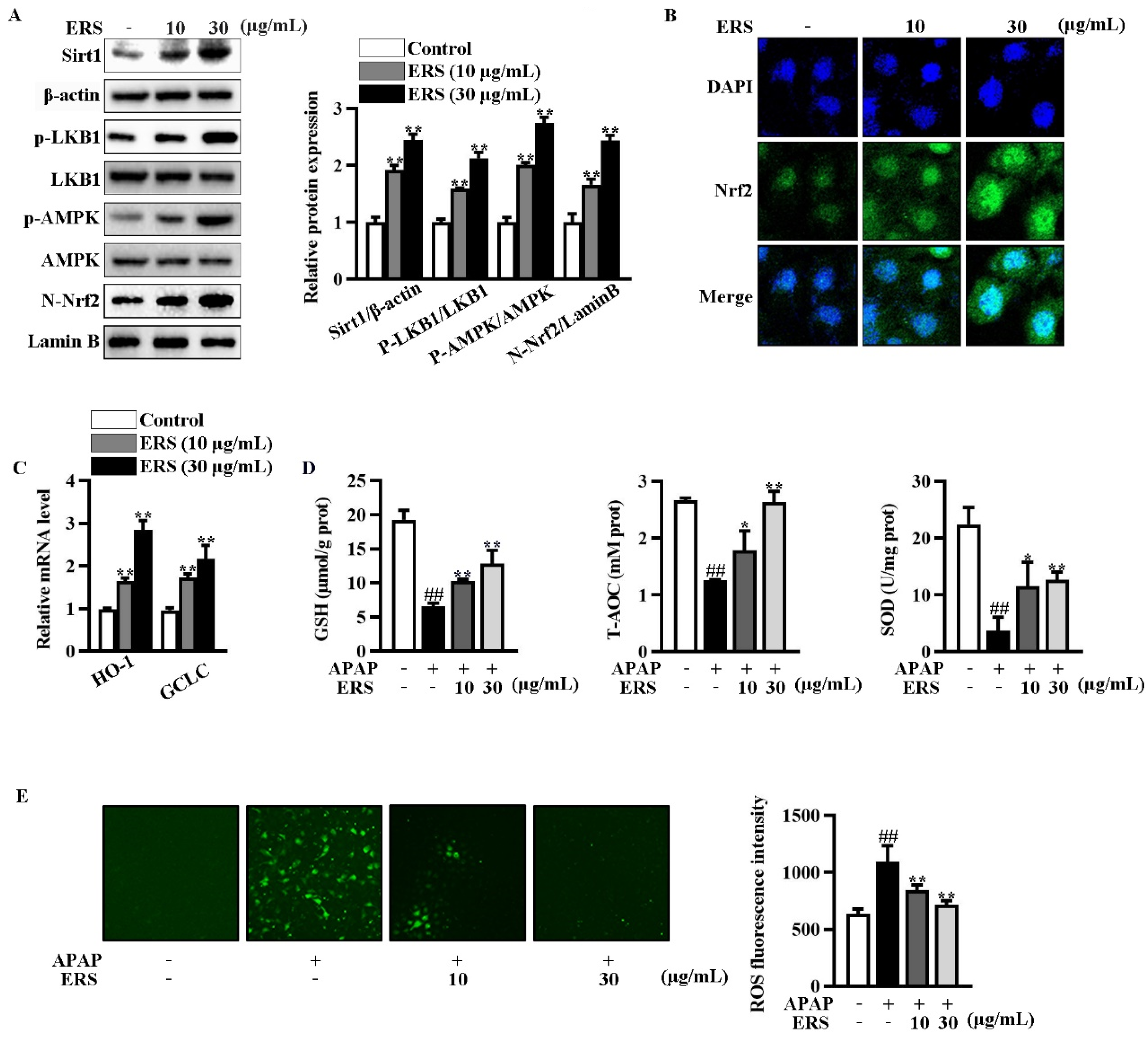Molecules 28 07307 g003