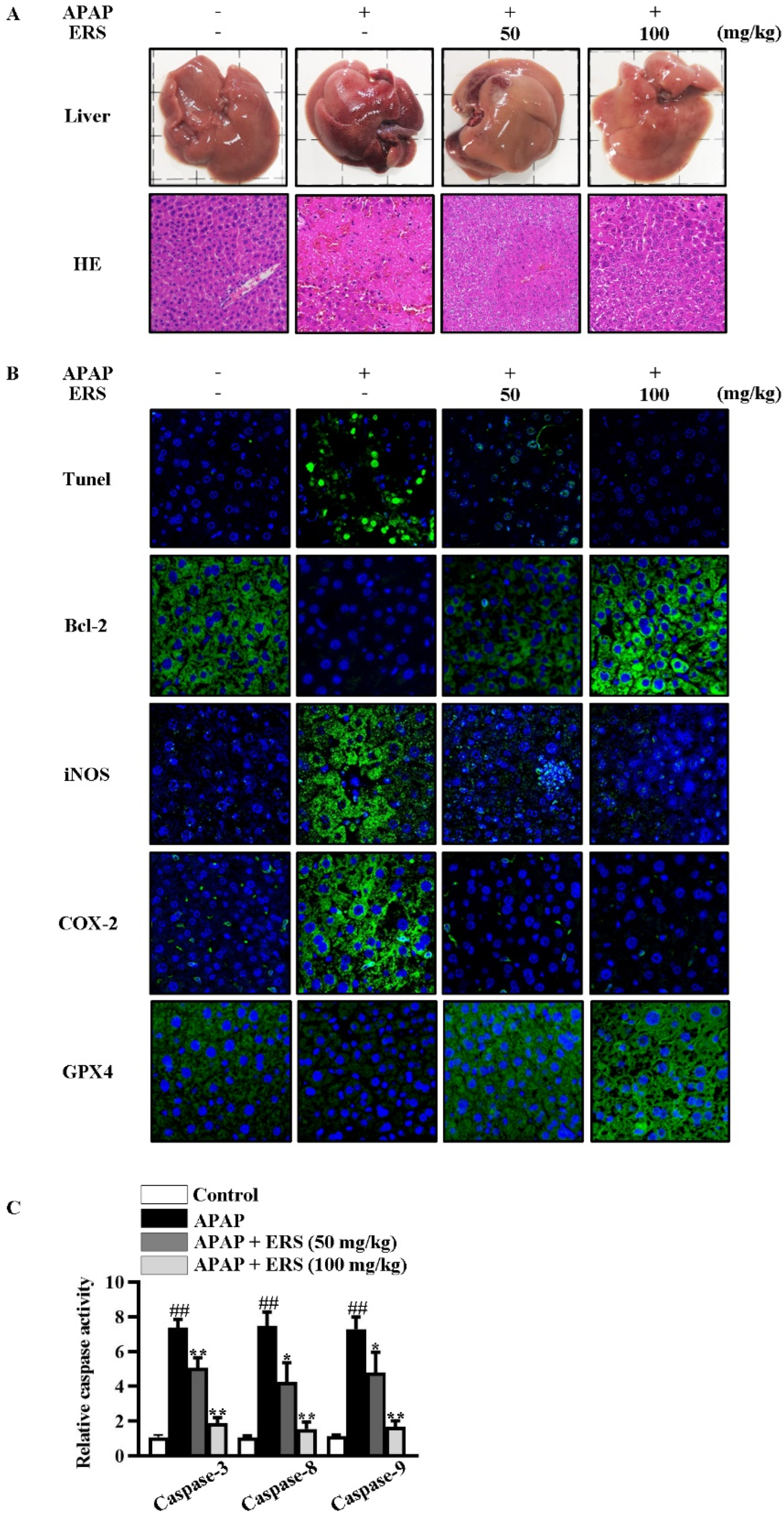 Molecules 28 07307 g006