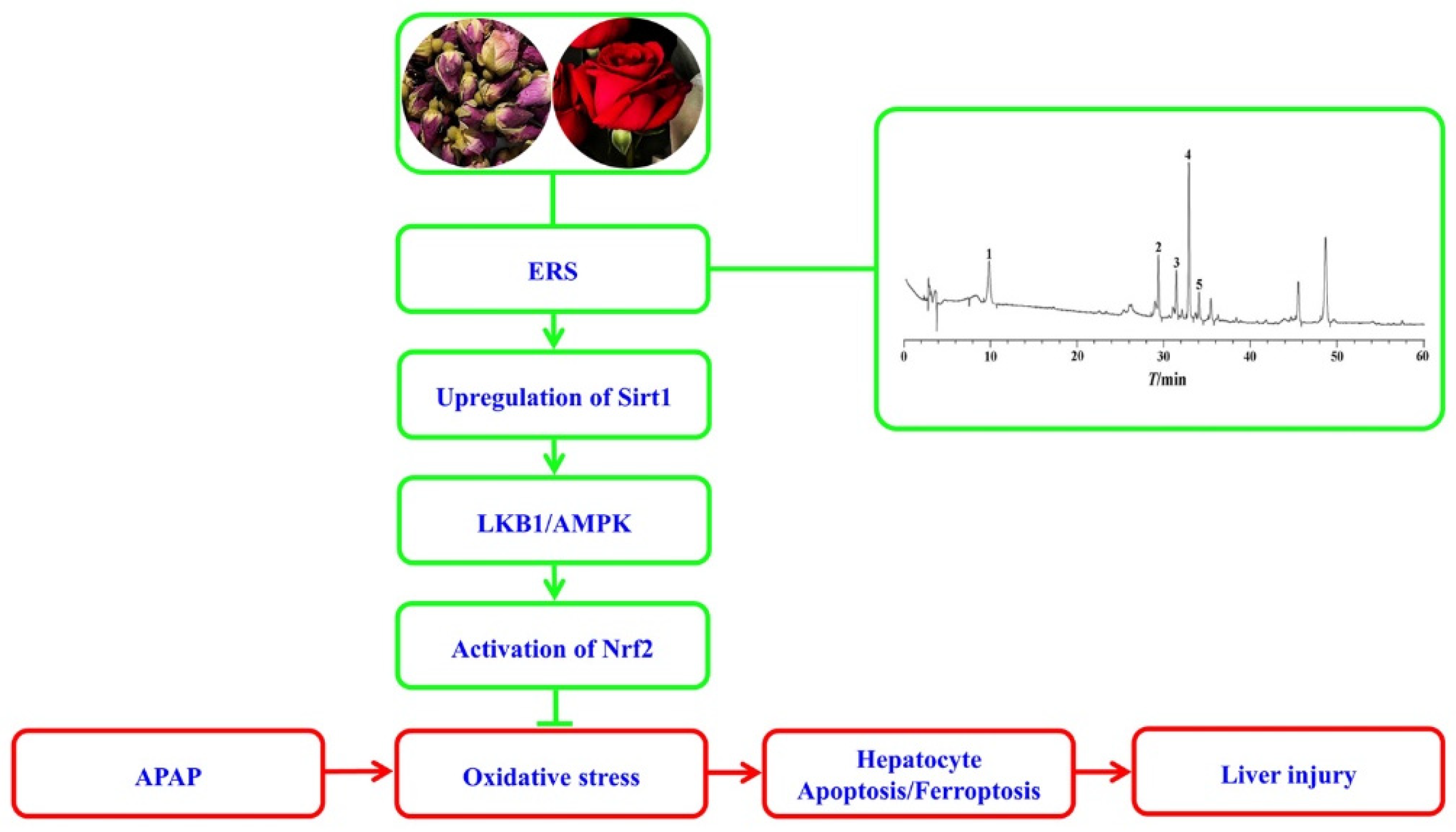 Molecules 28 07307 g008
