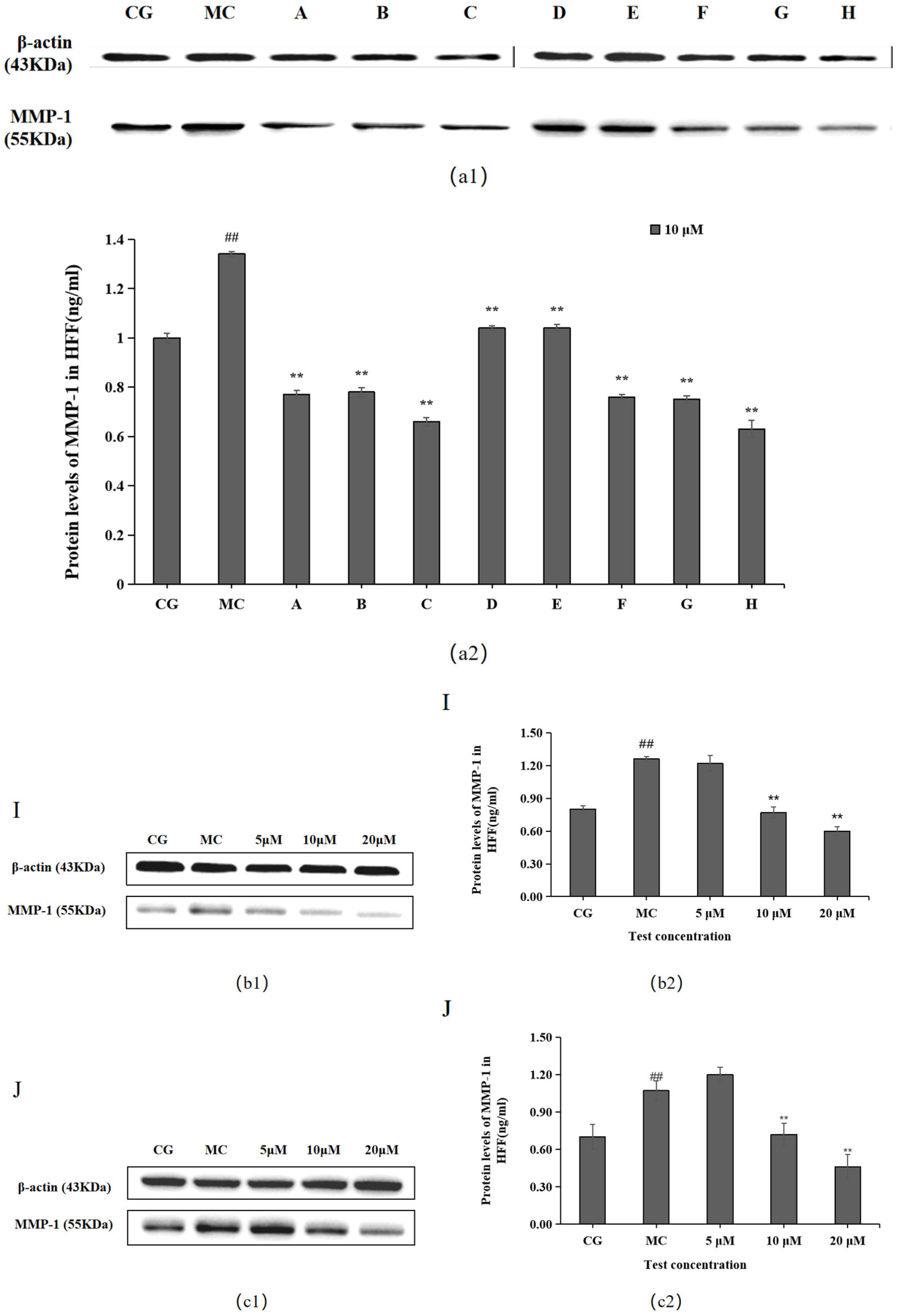 Molecules 28 07319 g004