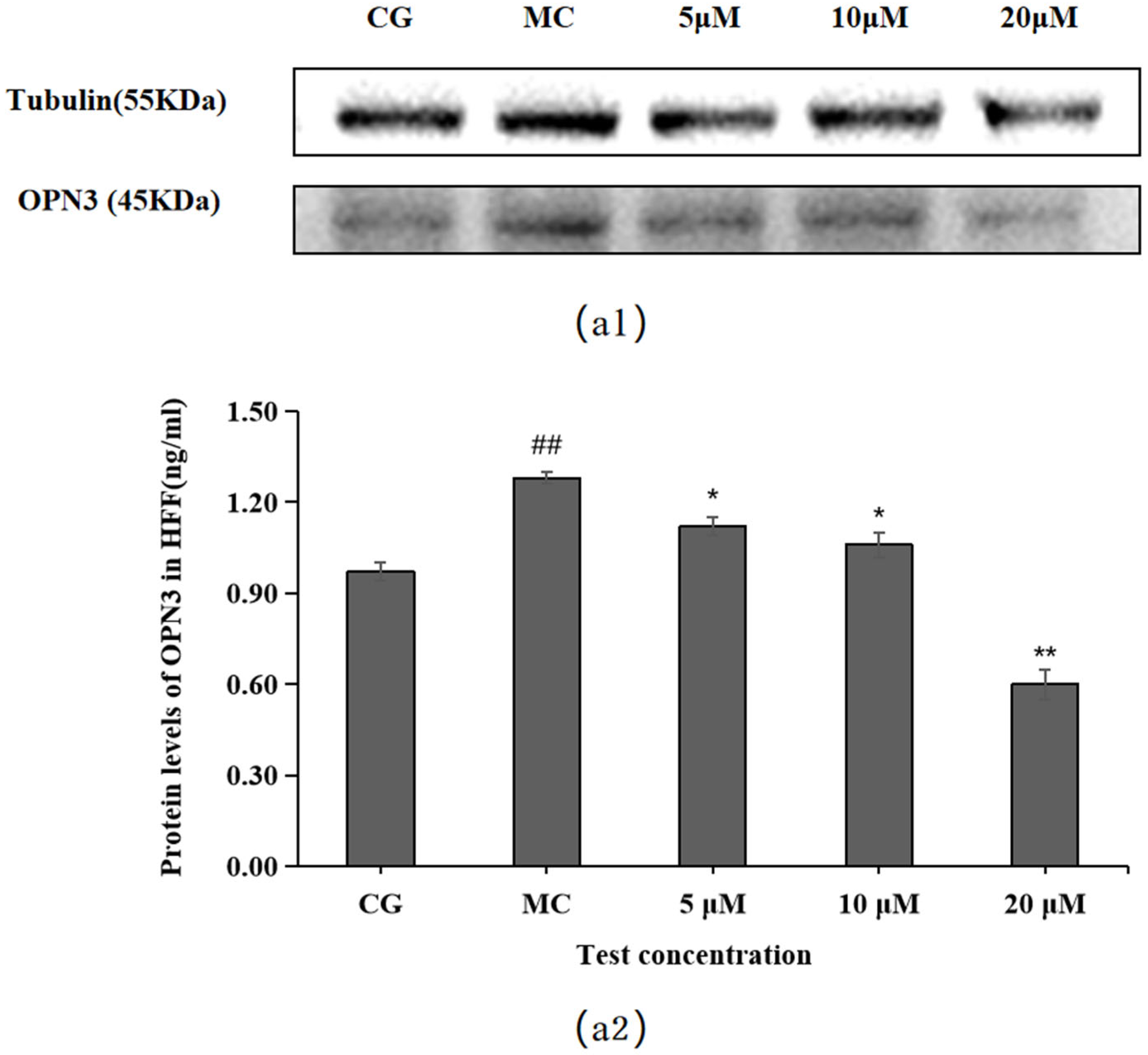 Molecules 28 07319 g007
