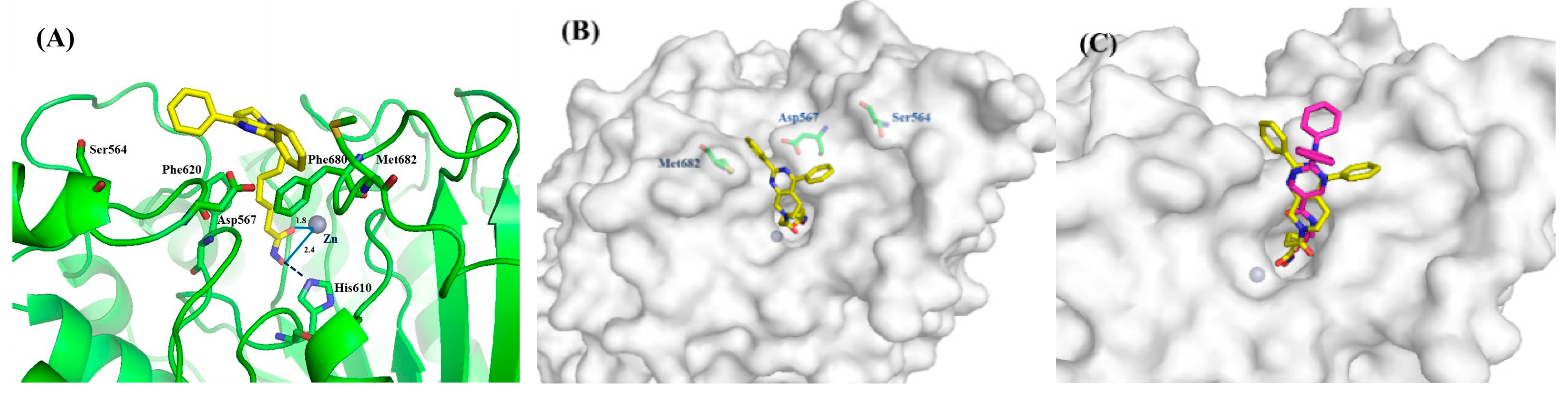 Molecules 28 07323 g004
