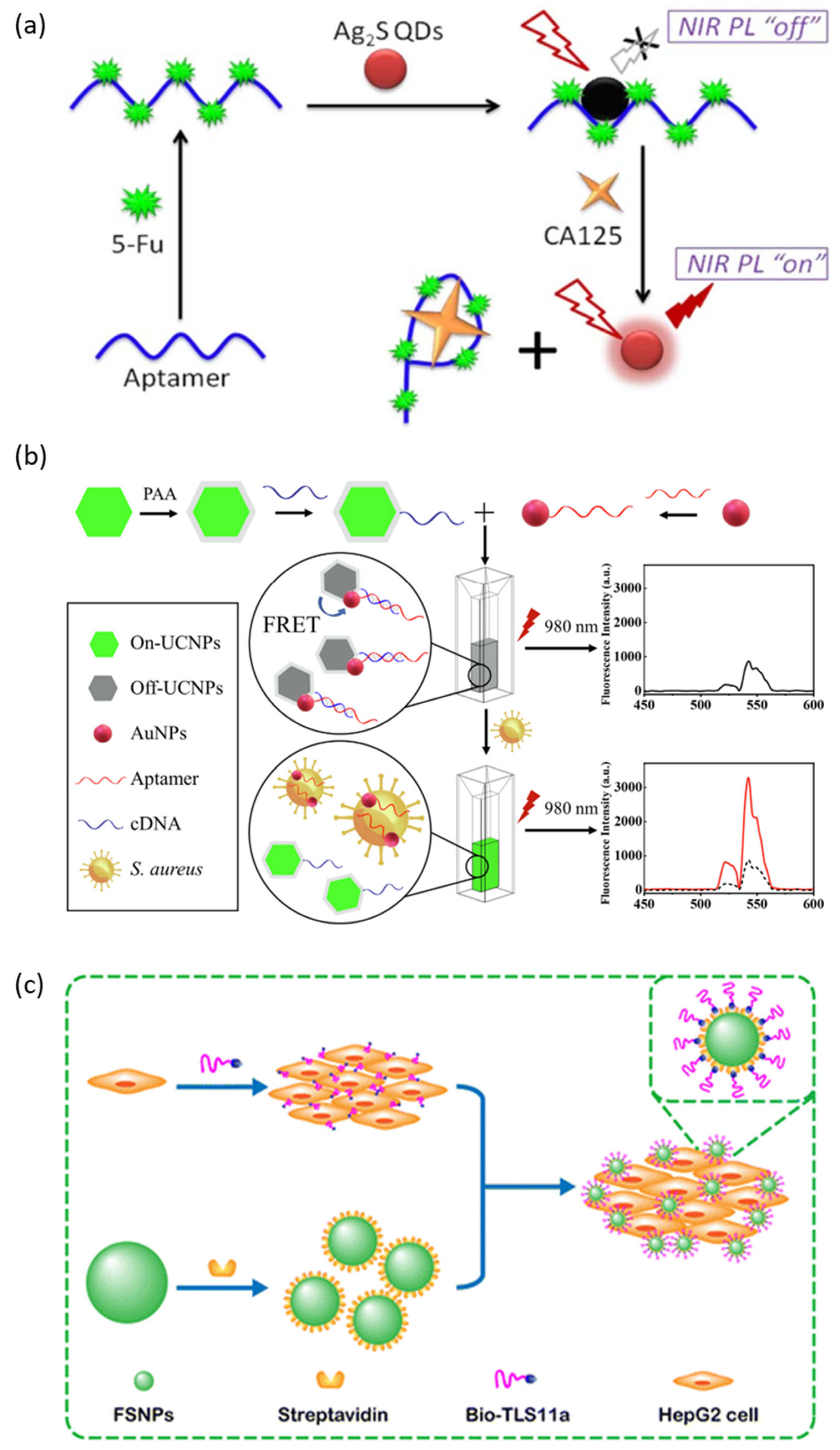 Molecules 28 07327 g004