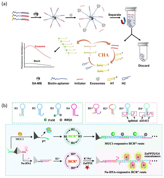 Molecules 28 07327 g005