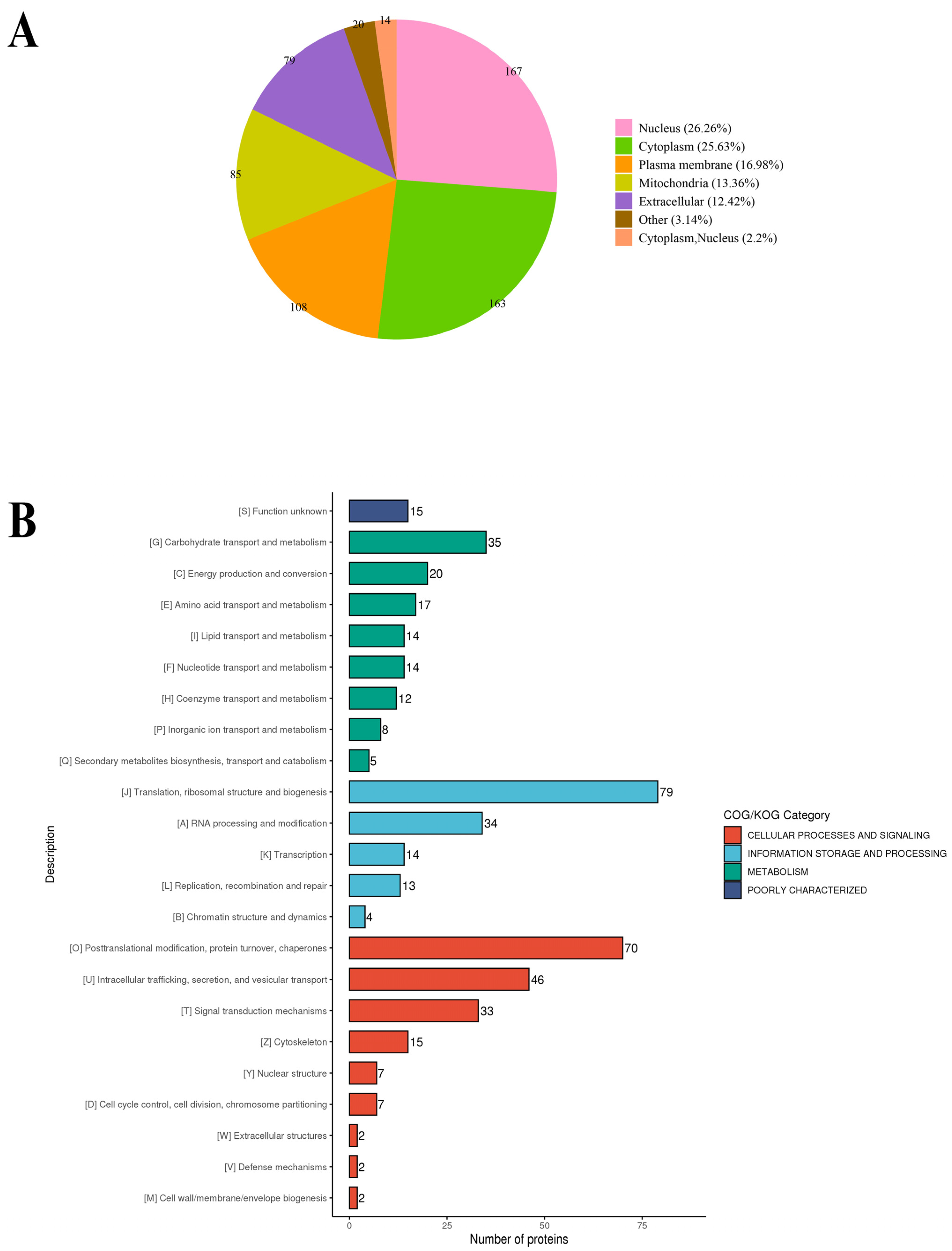 Molecules 28 07329 g004