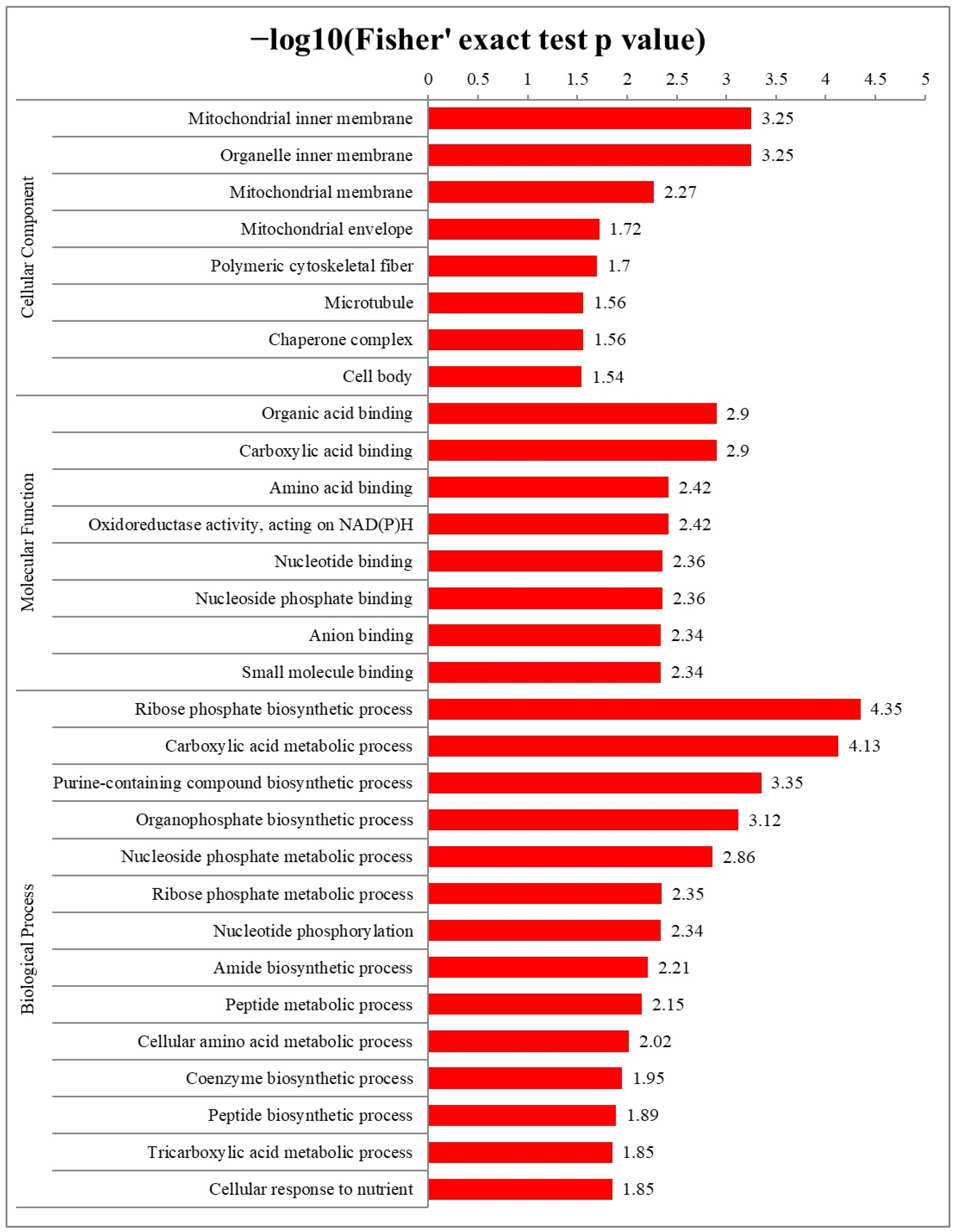Molecules 28 07329 g005