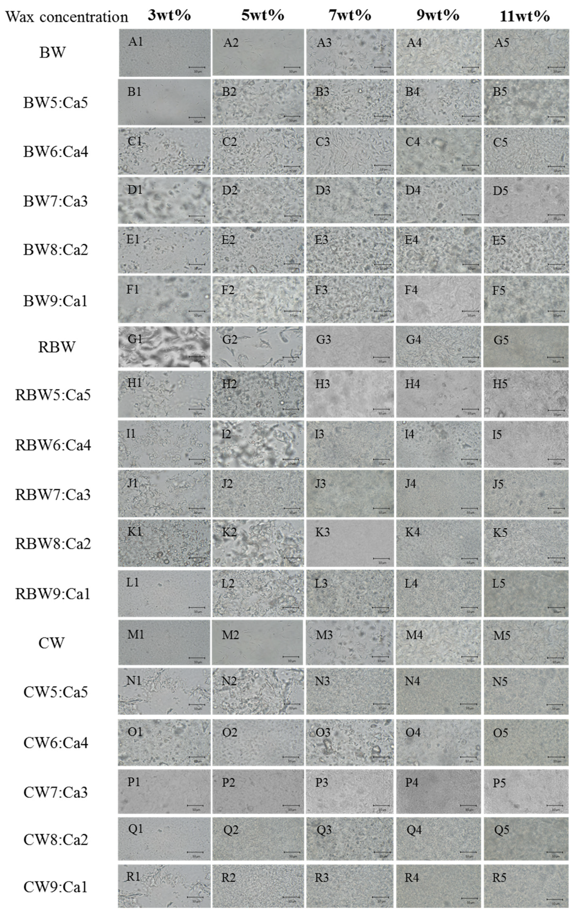 Molecules 28 07334 g005 Molecules 28 07334 g005