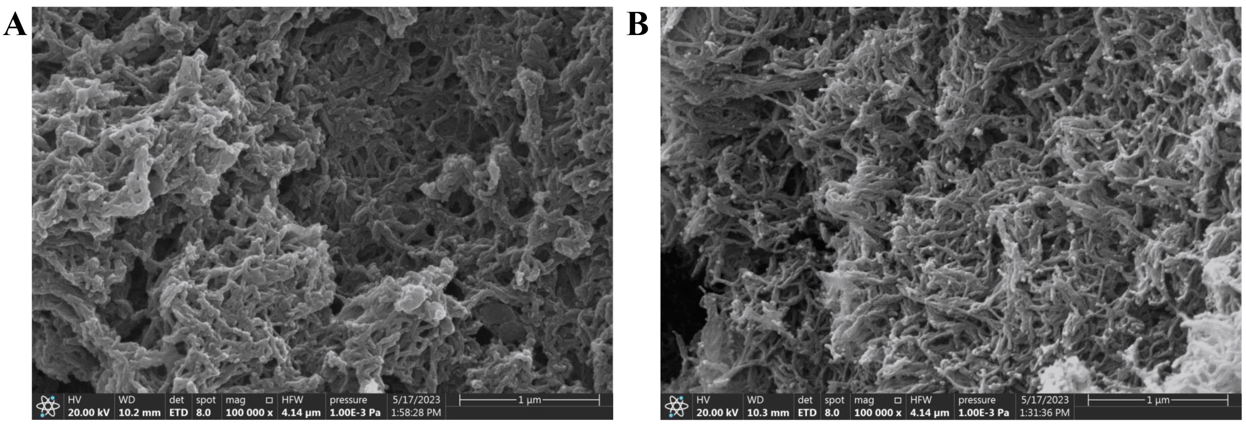 Molecules 28 07336 g001