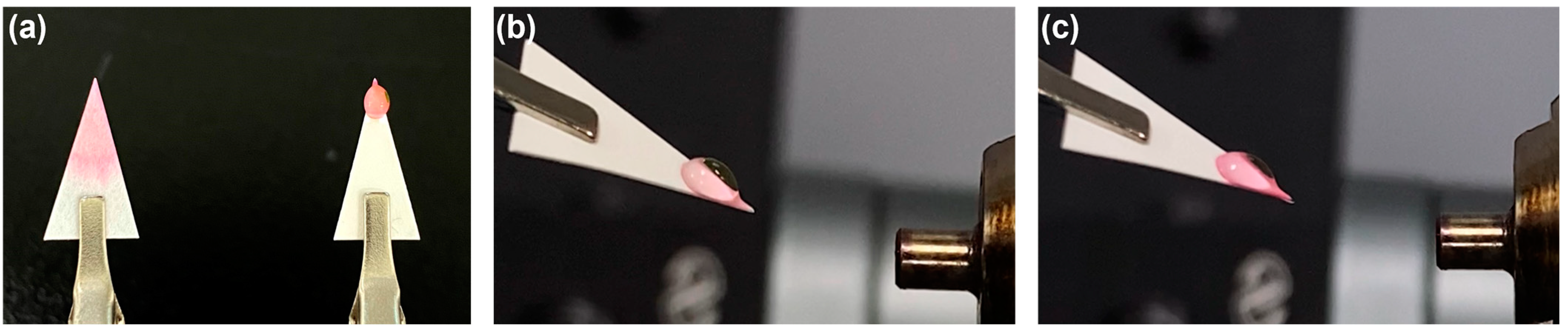 Molecules 28 07339 g001