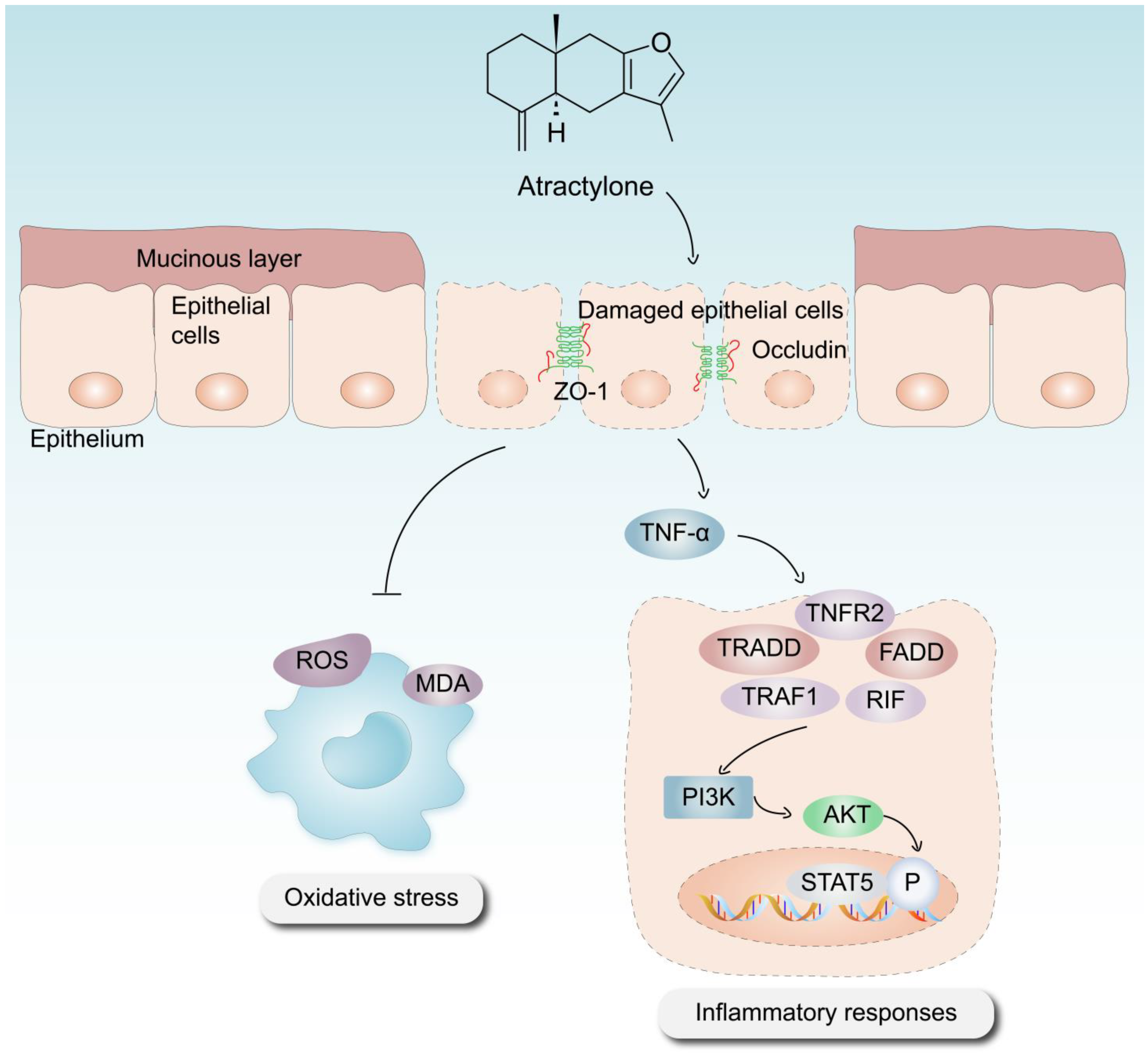 Molecules 28 07340 g007