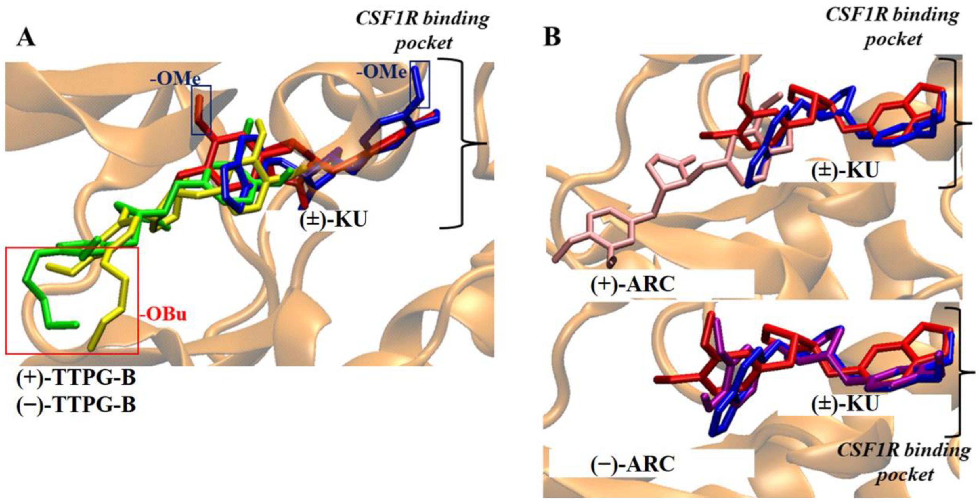 Molecules 28 07342 g007