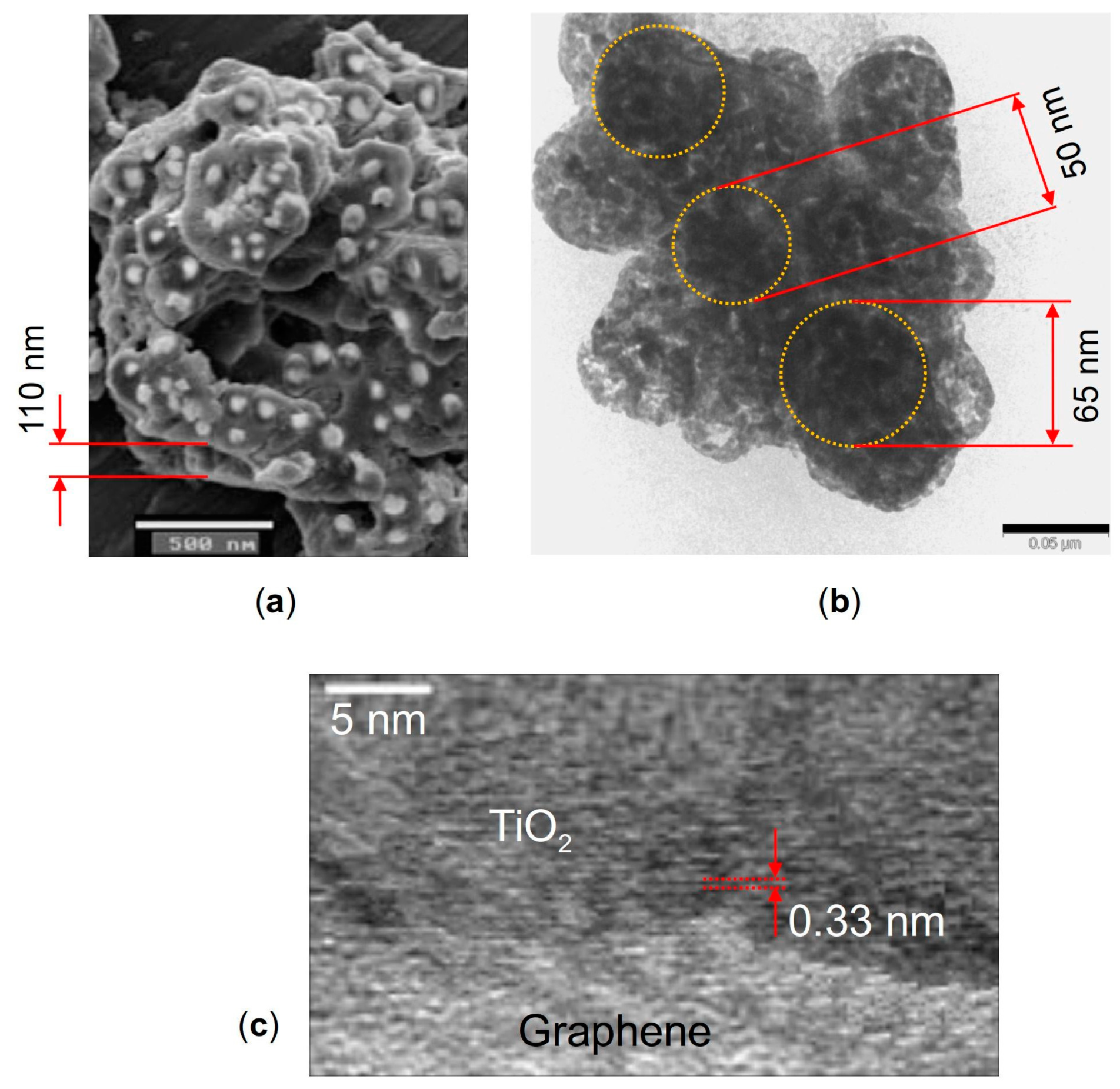 Molecules 28 07343 g009