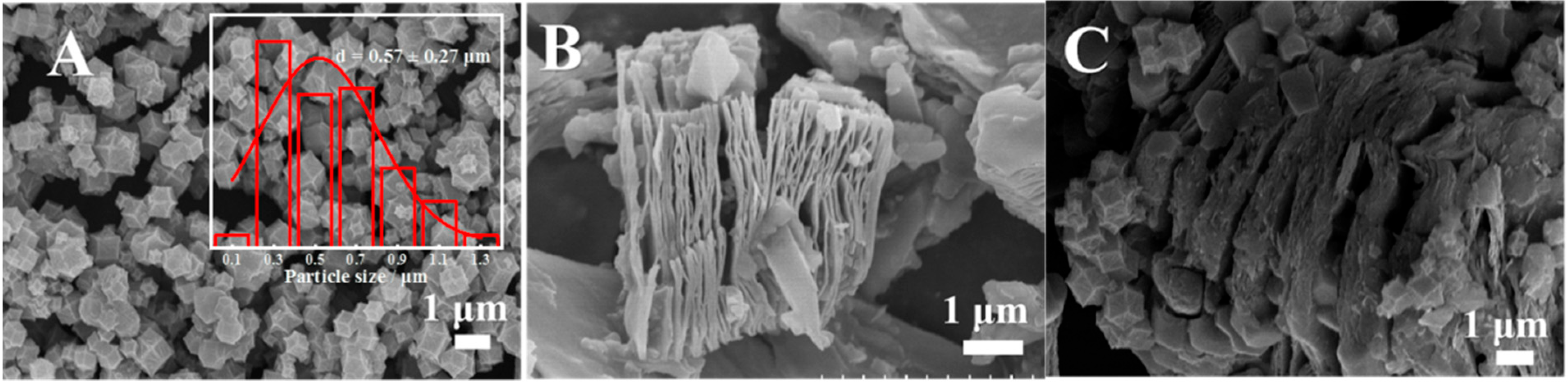 Molecules 28 07347 g001