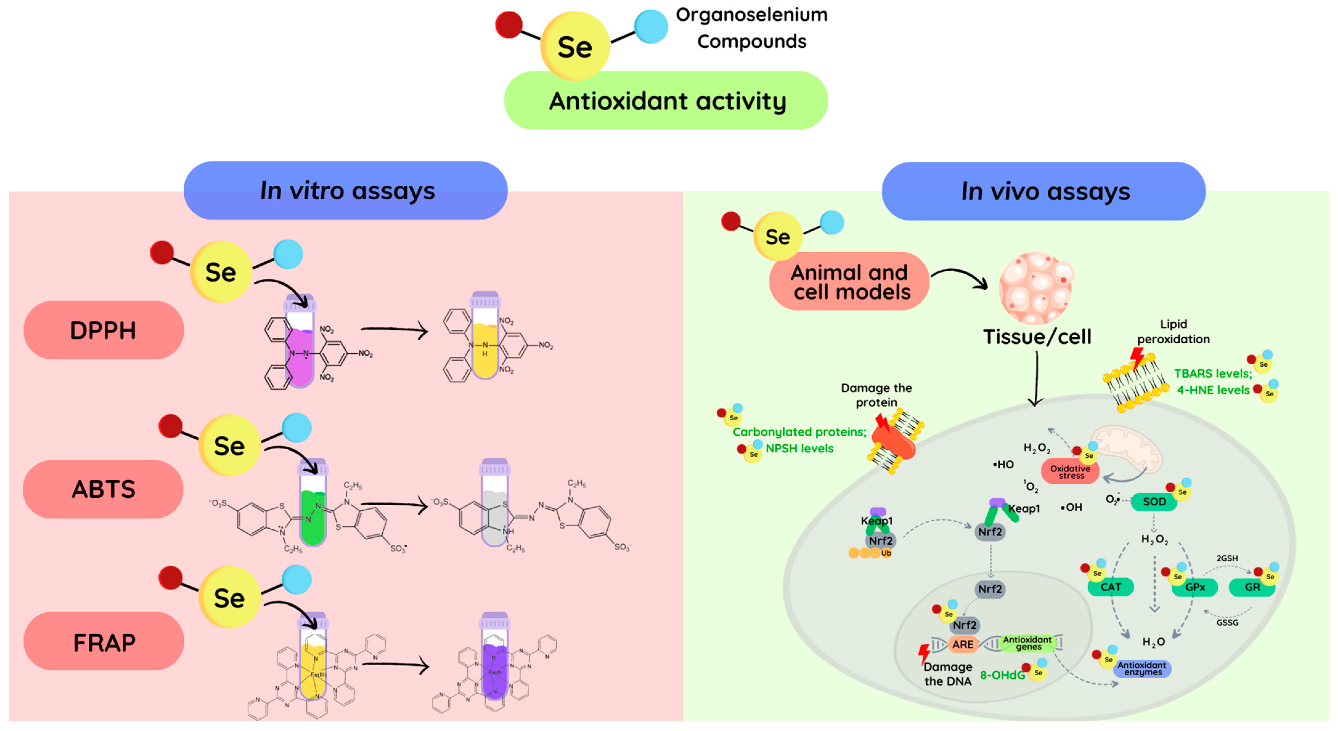 Molecules 28 07349 g001