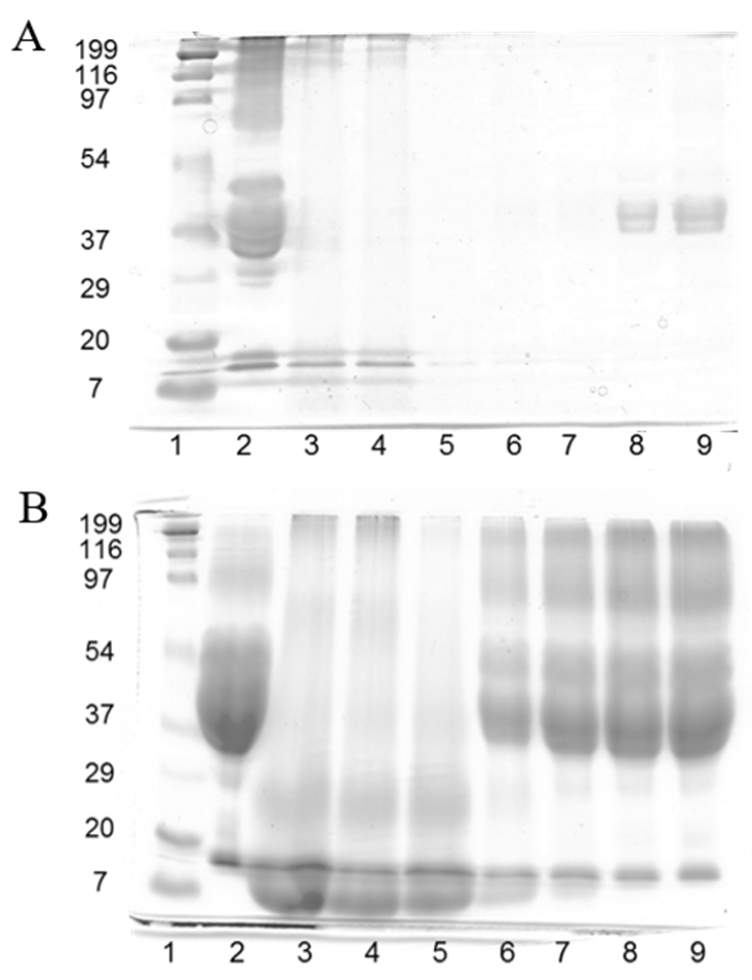 Molecules 28 07350 g001